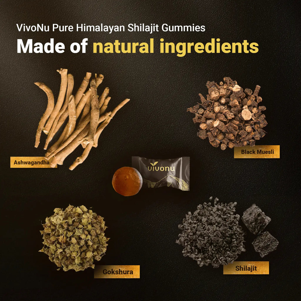 Vivonu Himalayan Shilajit Gummies | with Ashwagandha, Gokshura & Other Herbs | No Added Sugar | 60 Gummies Summervibes