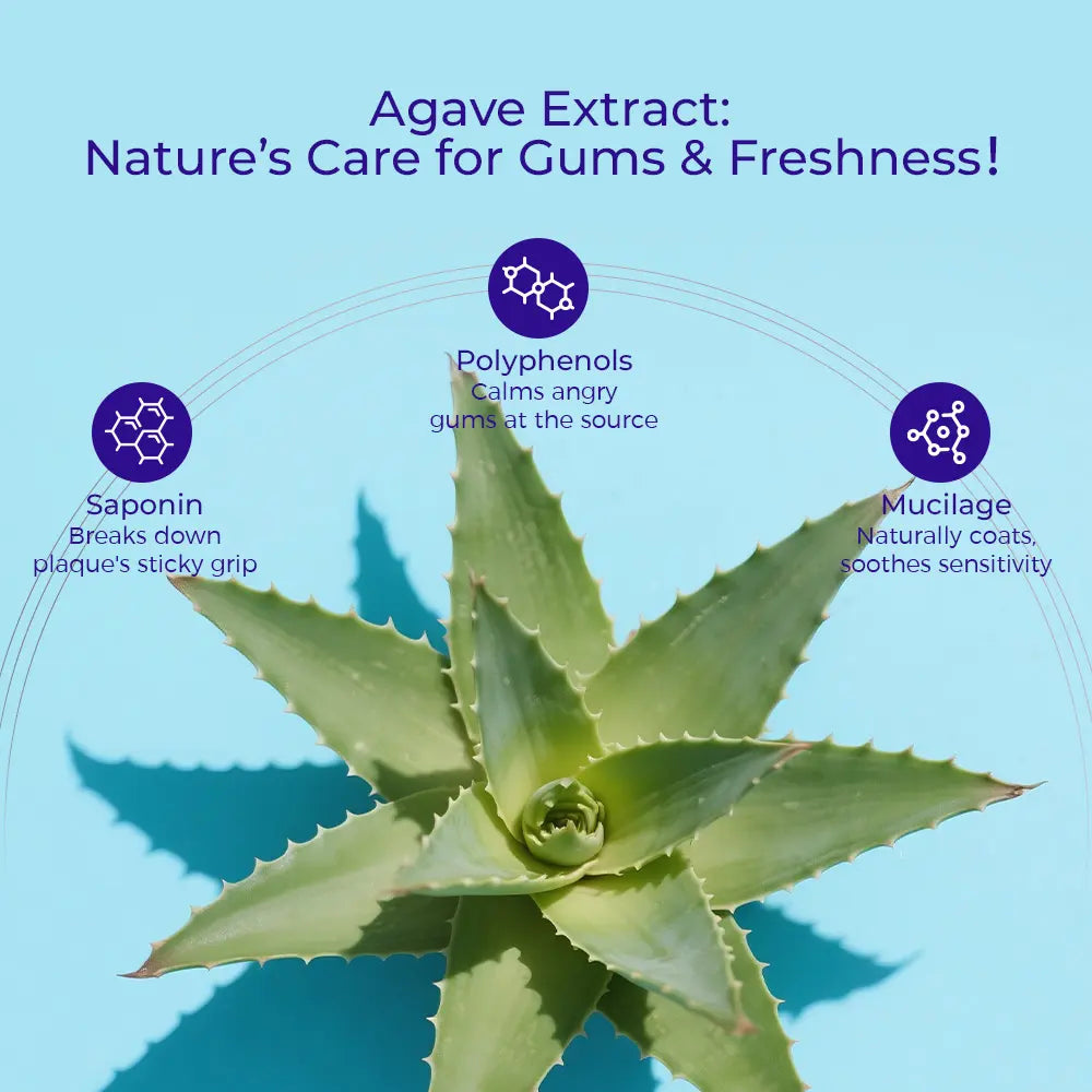 #Summervibes OCCOTAPS Agave Natural Herbal Toothpaste with Blue Agave Extract Brightens Teeth Strengthens Enamel Fluoride-Free Probiotics Mint Niacinamide - Oral