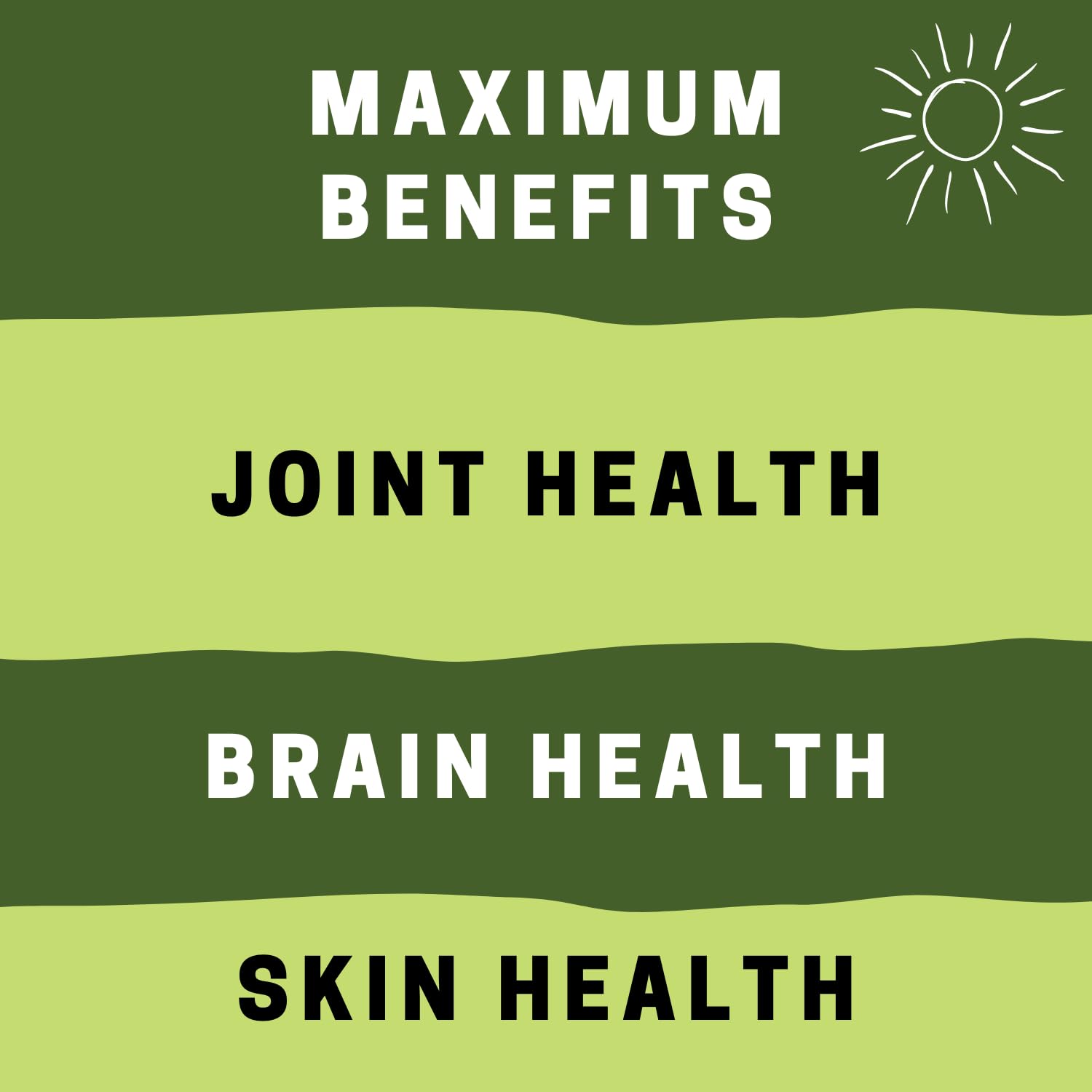 Vegan Fish Oil Alternative - Award Winning Omega 3, DHA, EPA and GLA Supplement - Plant Based Omegas - 4X Better Than Flax, Chia & Hemp - Contains GLA not Found in Algae - 90 Vegan softgels