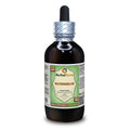 Watermelon (Cucurbita Citrullus) Glycerite, Dried Seeds Alcohol-Free Liquid Extract (Brand Name: HerbalTerra, Proudly Made in USA) 4 fl.oz (120 ml)
