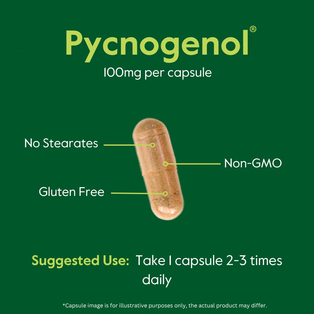 BESTVITE Pycnogenol 100mg (120 Capsules) (60x2) - French Maritime Pine Bark Extract - No Stearates - Gluten Free - Non GMO - Easy-to-Swallow Capsules