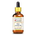 Greenwood Essential Pure Liquorice (Licorice) Oil (Glycyrrhiza glabra) with Glass Dropper 30ml (1 oz)
