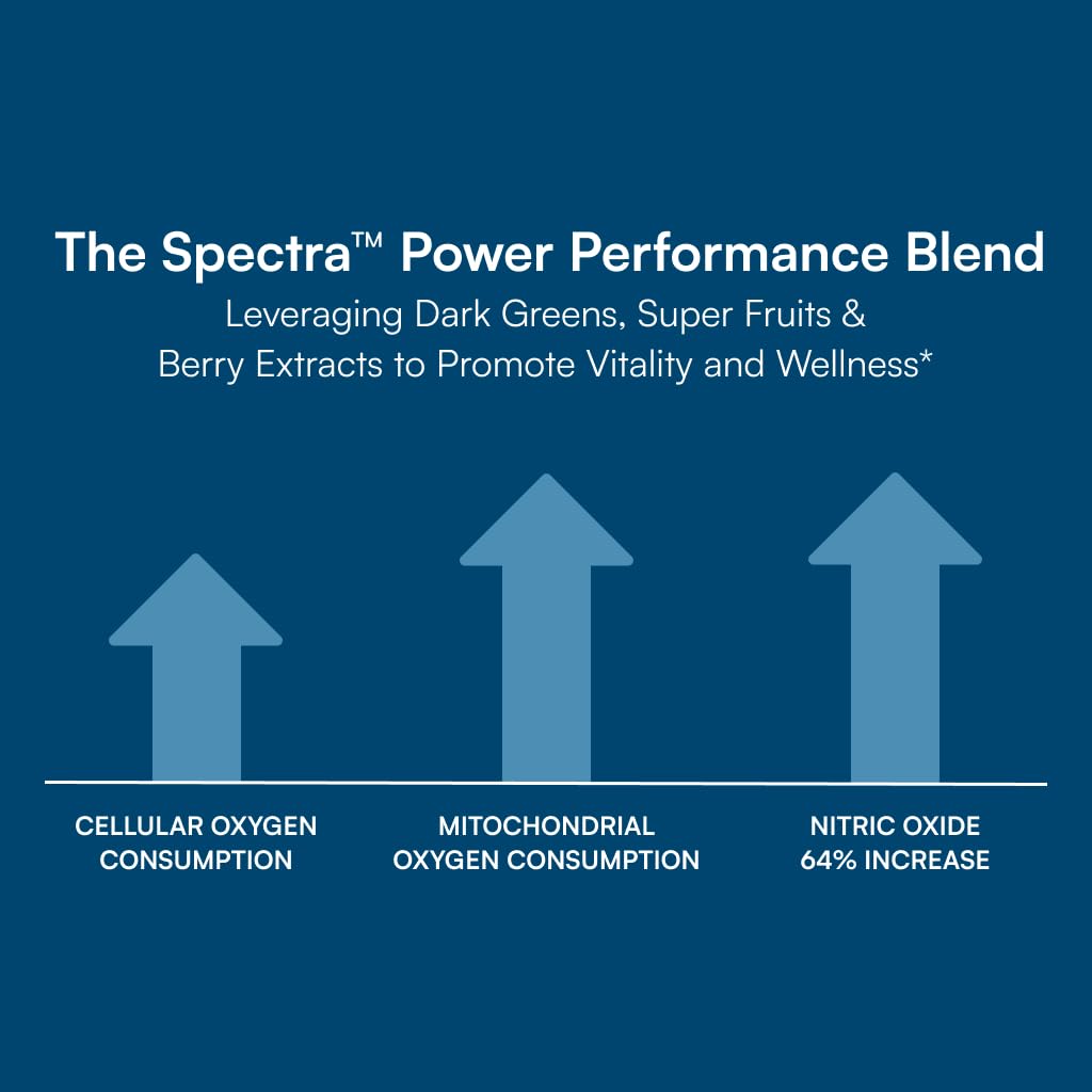Purity Products Men's Perfect Multi from Vitamins, Minerals and Phytonutrients - Promotes Energy, Vitality and Stamina - Easy to Swallow - 90 Tablets