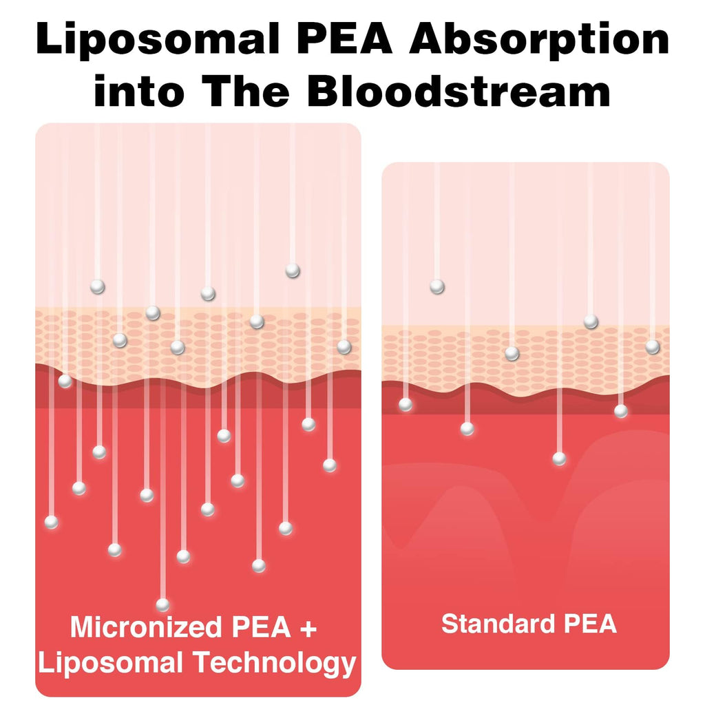 Liposomal Palmitoylethanolamide 1000 mg + Luteolin 100 mg, Micronized Pea 99% Highly Purified - Enhanced Absorption and Bioavailability, 120 Softgels