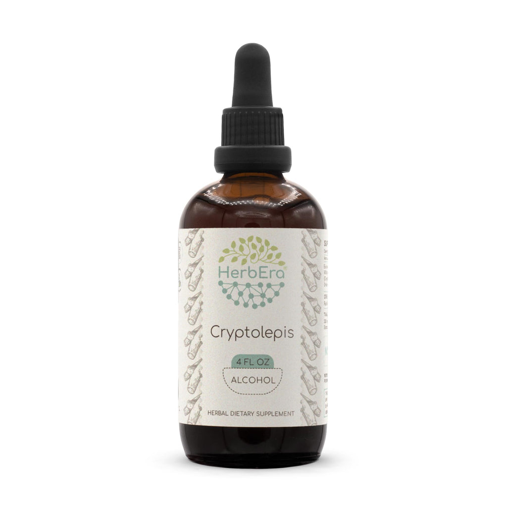 HerbEra Cryptolepis Alcohol Herbal Extract Tincture, Super-Concentrated Wildcrafted Cryptolepis (Cryptolepis Sanguinolenta) Dried Root (4 Fl Oz)