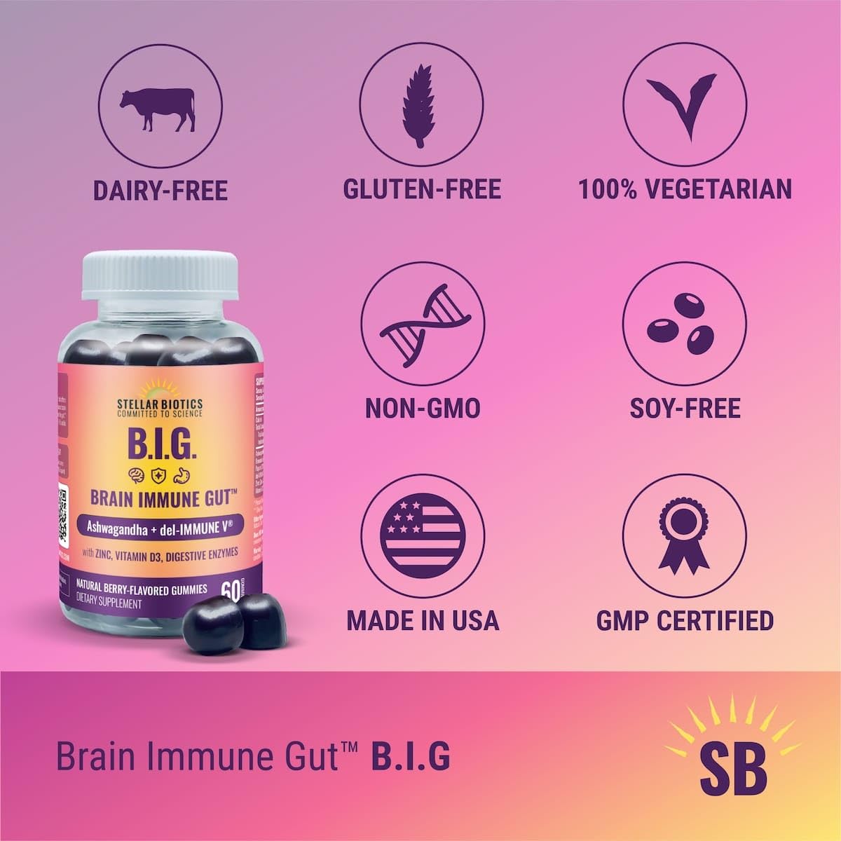Del-Immune V + Ashwagandha - Brain Immune Gut™ (B.I.G.) Gummy - All Natural Immune & Gut Support with Zinc, Vitamin D3 + Digestive Enzymes (60 Gummies)