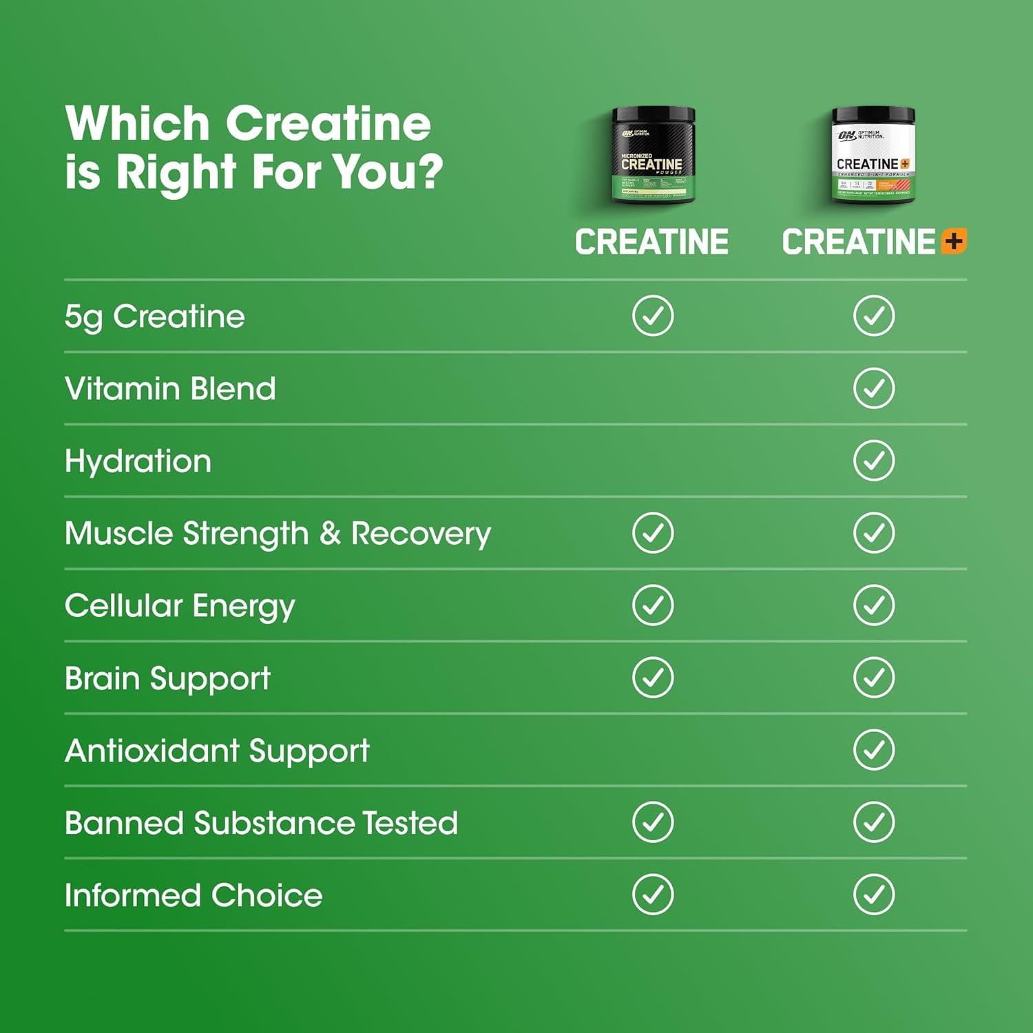 Optimum Nutrition Creatine, Micronized Creatine Monohydrate Powder, Supports Strength & Recovery, Banned Substance Tested, Unflavored, 5 g per Serving, 120 Servings