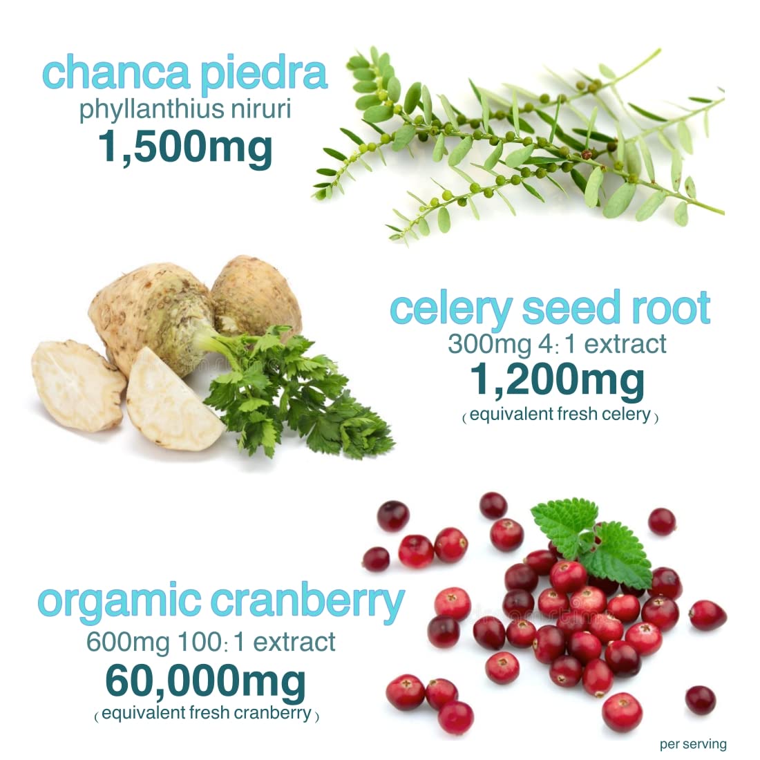 Holistic MD Stone Breaker Chanca Piedra 1,500mg Gummies Kidney Stones Cleanse Gallbladder Formula | Plus Cranberry Extract Might Help Urinary Tract Flush Impurities | Fast Absorption Sugar Free 60ct