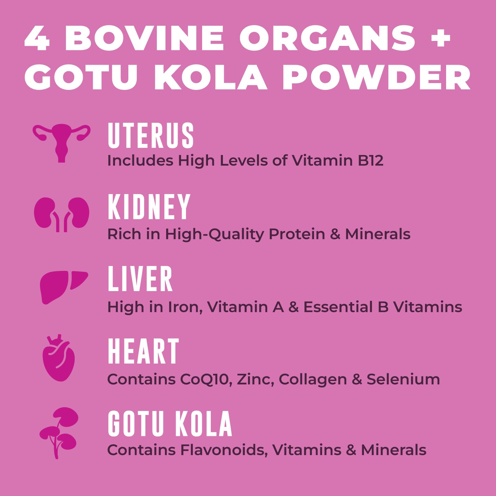 Beef Organ Supplement for Women - Beef Liver, Kidney, Heart and Uterus Tissue, Supports Women's Overall Energy and Health - Pasture Raised in New Zealand - No Fillers or Flow Agents - 120 Capsules