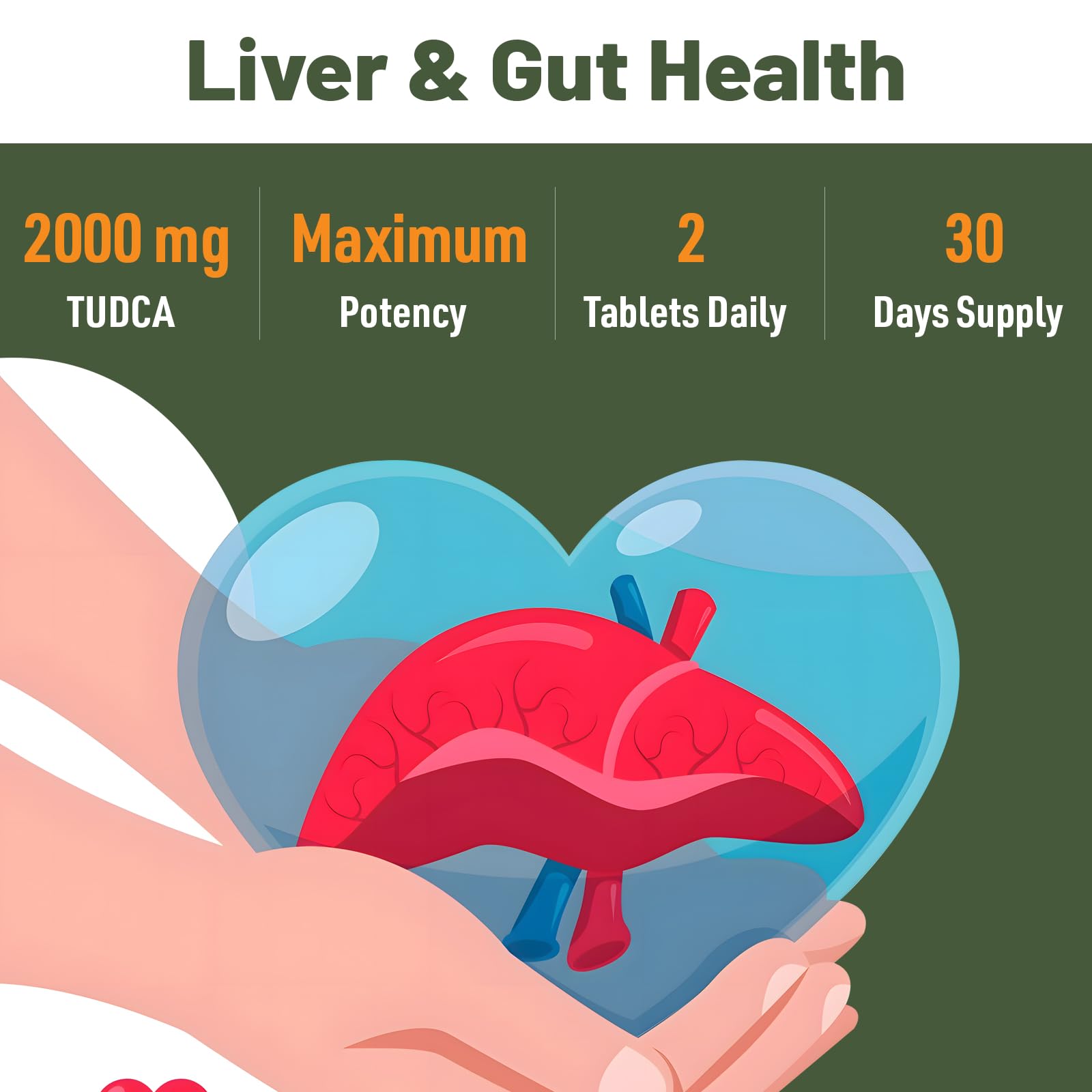 Canarata TUDCA Liver Supplements 2000mg - Strong Bile Salts Support Liver Detox & Cleanse - Liver and Gallbladder Health Formula-Easy to Swallow Tablets-30 Days Supply