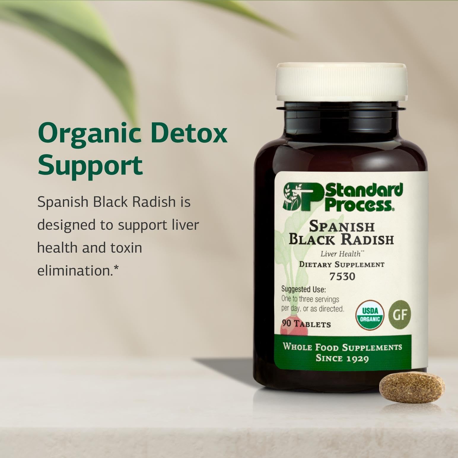Standard Process Spanish Black Radish - Liver Health Dietary Supplement - Gallbladder Health & Digestion Cleanse Support - Gluten-Free, Non-Dairy & Non-Soy - 90 Tablets