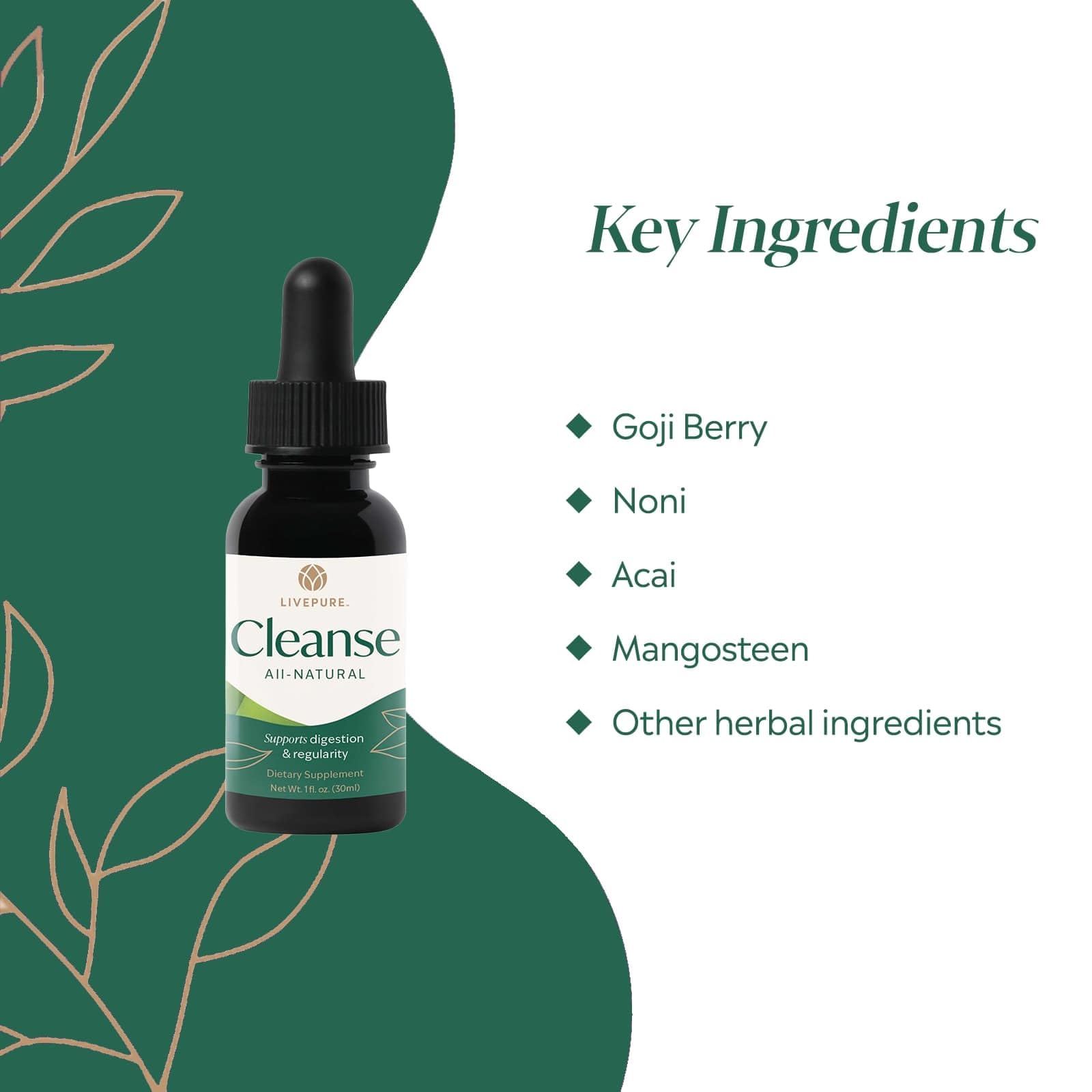 PURE Cleanse Liquid | Plant-Based Supplement Designed to Support Digestive Balance, Gut Health & Full-Body Wellness | Fast-Absorbing Herbal Formula | Vegan, Gluten-Free, Additive-Free | 1 fl oz