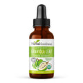 Herbal Goodness Organic Soursop Graviola Leaf Extract 1oz – 15X Concentrated Guanabana Liquid Tincture | USDA Organic & Kosher Certified | Supports Cell and Immune Wellness | Soursop Bitters Liquid