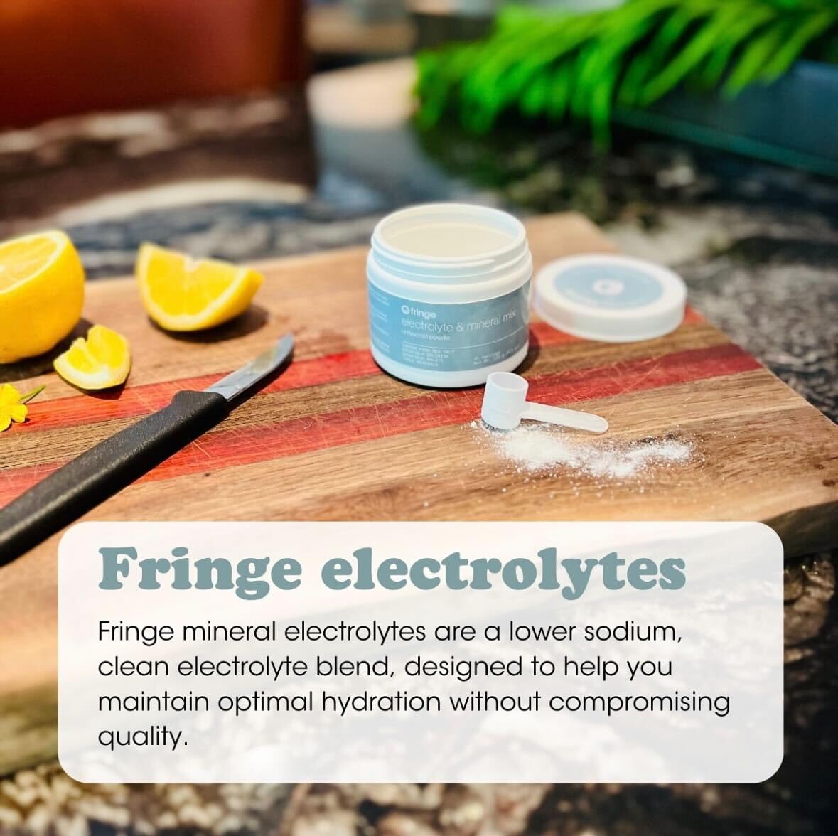 Fringe Electrolyte and Mineral Mix, Pure Ocean Sea Salt for Rehydration, Potassium Chloride, Magnesium Malate for Muscle Tension, Calcium and Trace Minerals for Essentials, Unflavored, 45 Servings