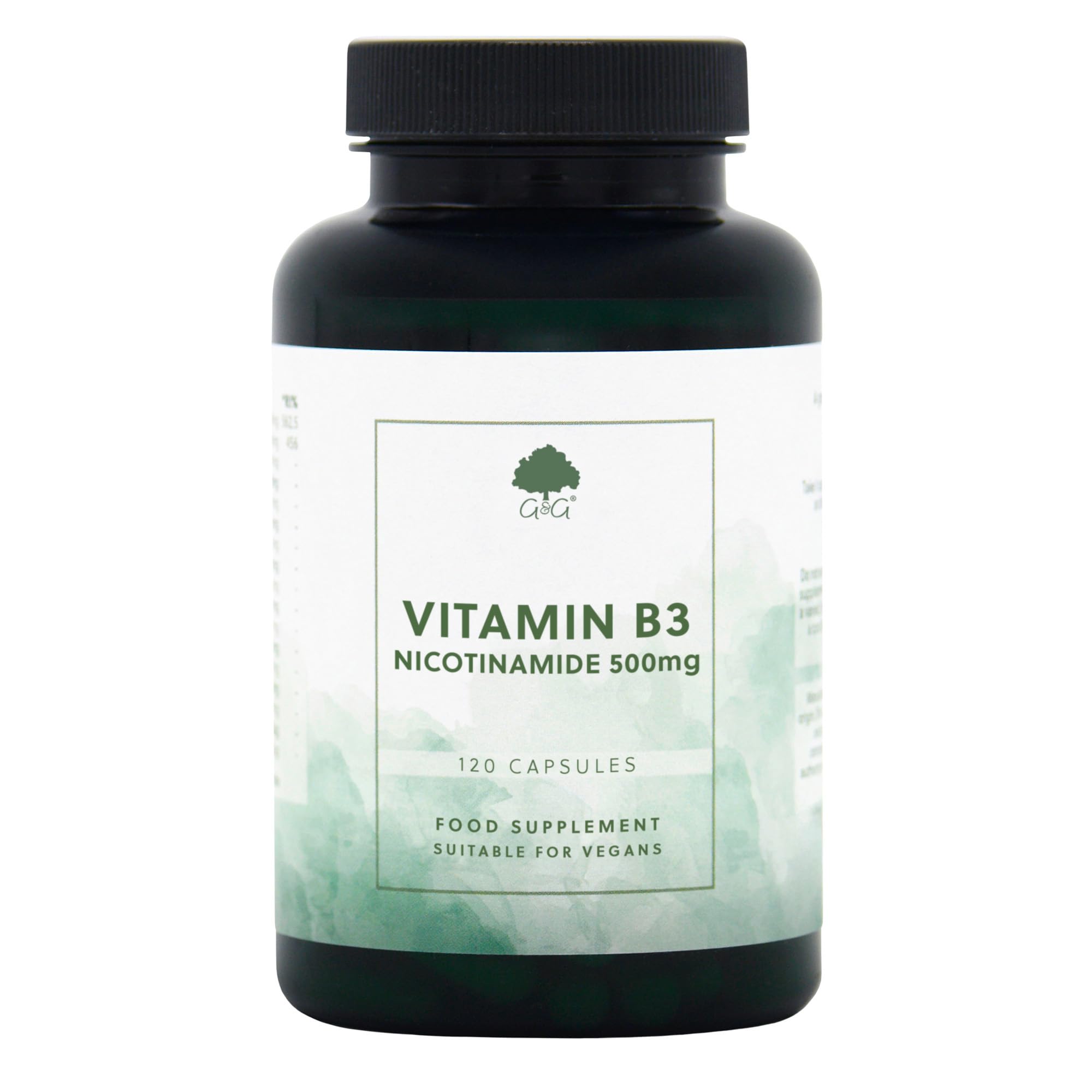 Vitamin B3 (Nicotinamide) 500mg - High Strength, Non-Flush, 120 Vegan Capsules - Non-GMO, Made in the UK - G&G Vitamins