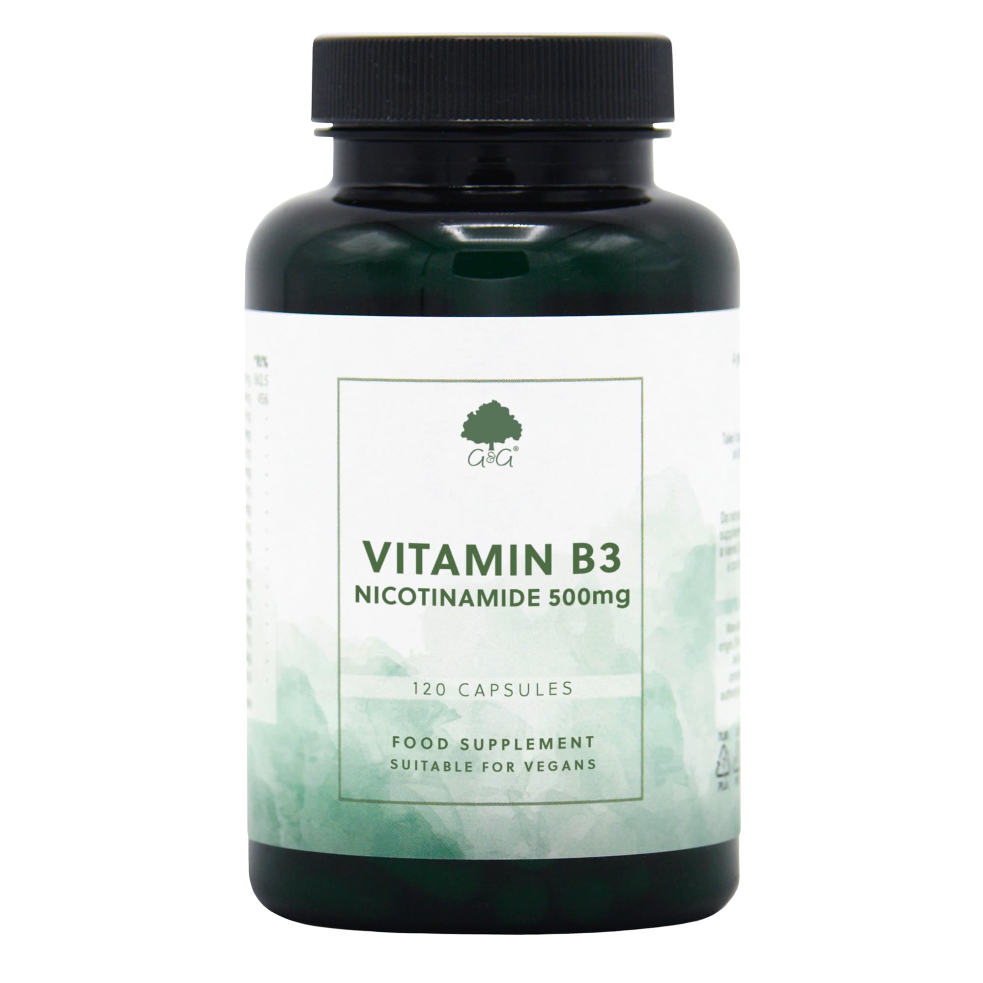 Vitamin B3 Nicotinamide 500mg - 120 Vegan Capsules
