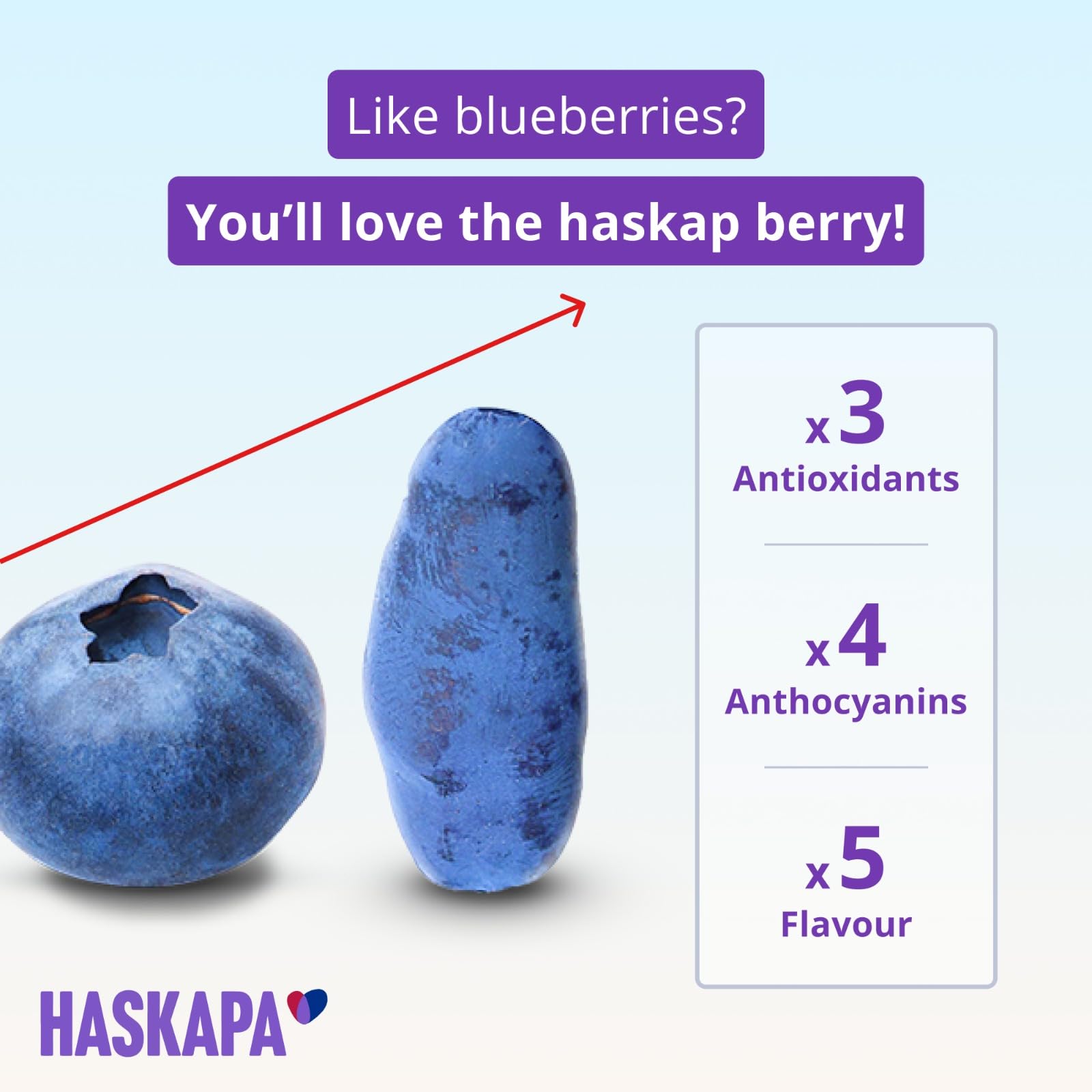 Haskapa | Super Berry Powder | 100% Natural Vegan Haskap Berries | High in Vitamin C + Antioxidants | Gluten Free | Superfood Made from Freeze Dried Berries