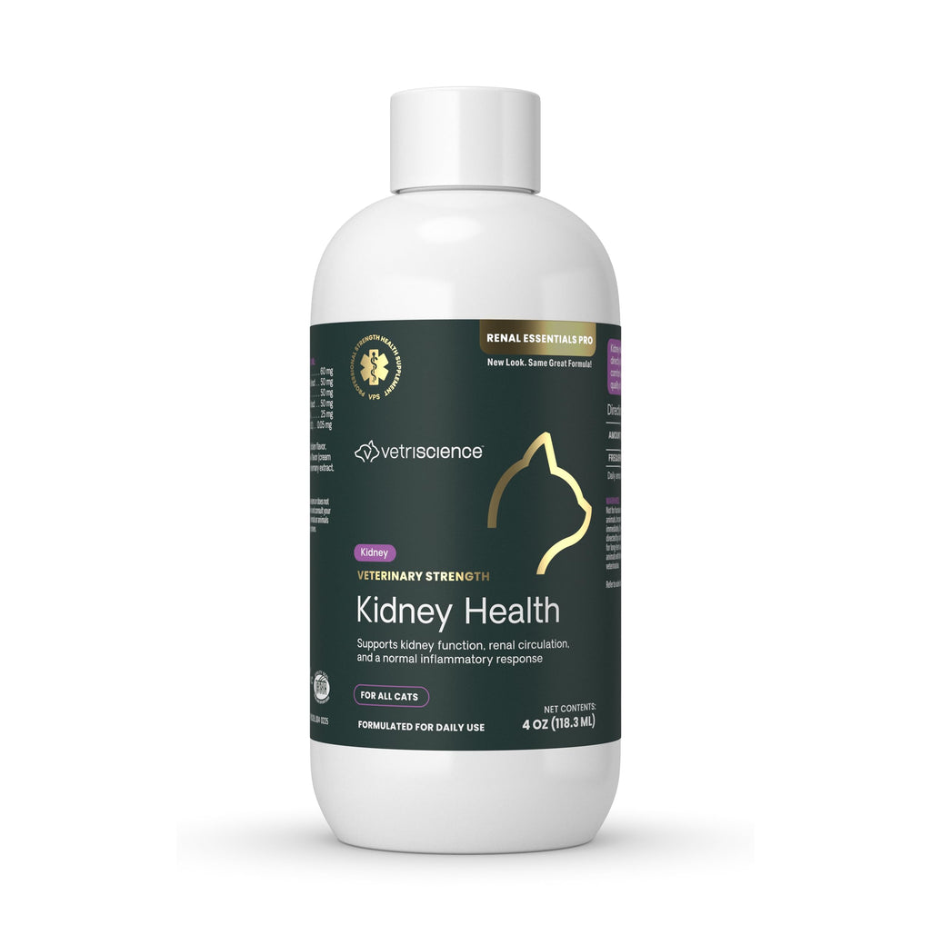 VetriScience Renal Essentials Pro Liquid - Kidney Functions & Maintenance Support Supplement for Cats - Health Supplement Aids Renal Blood Flow - Liquid Kidney Care Aid for Felines - 4 oz