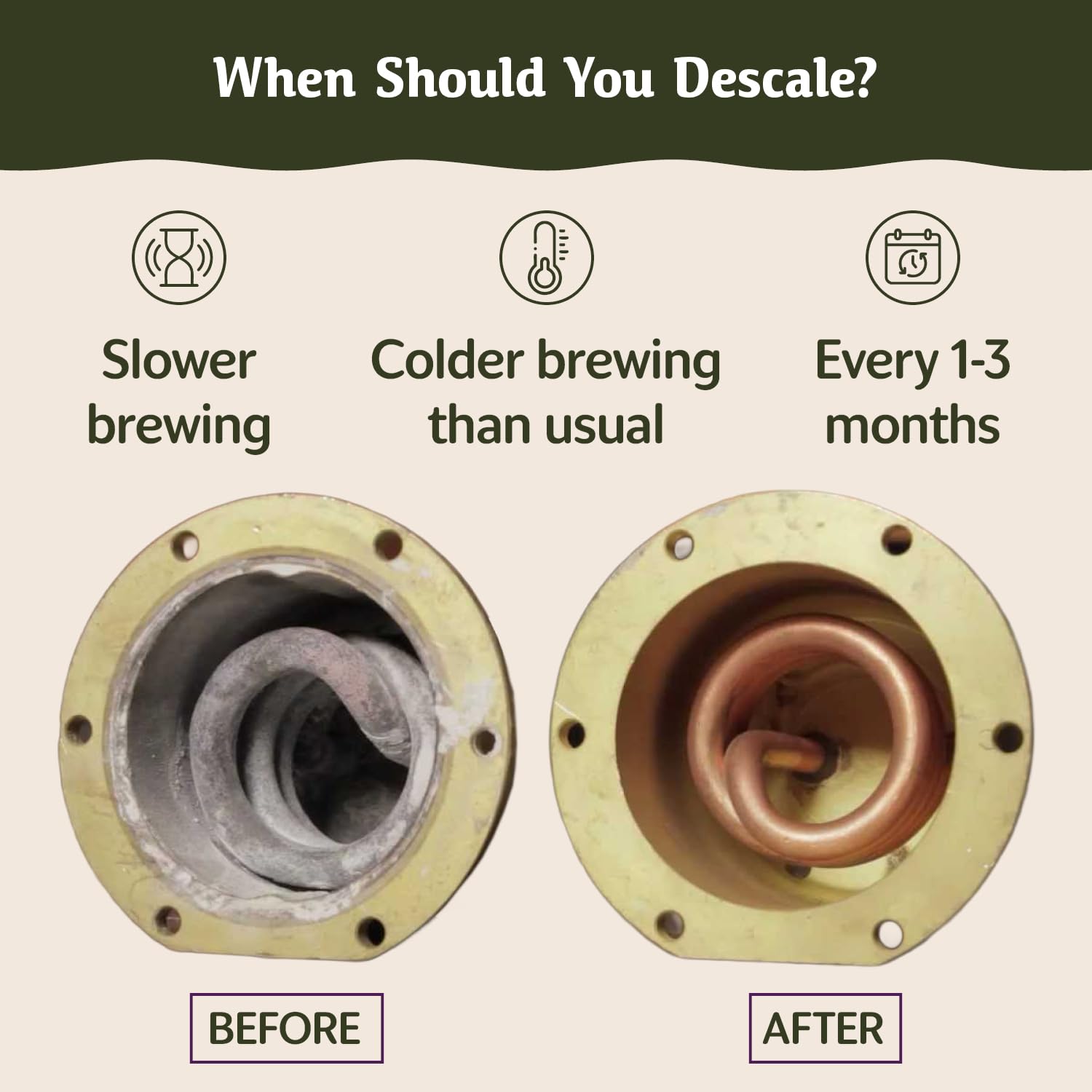 Breville Descaler (10 Uses) Specially Formulated to Descale and Clean Your Breville Espresso Machine Carbon Friendly Descaling Kit 2.5 Year Supply