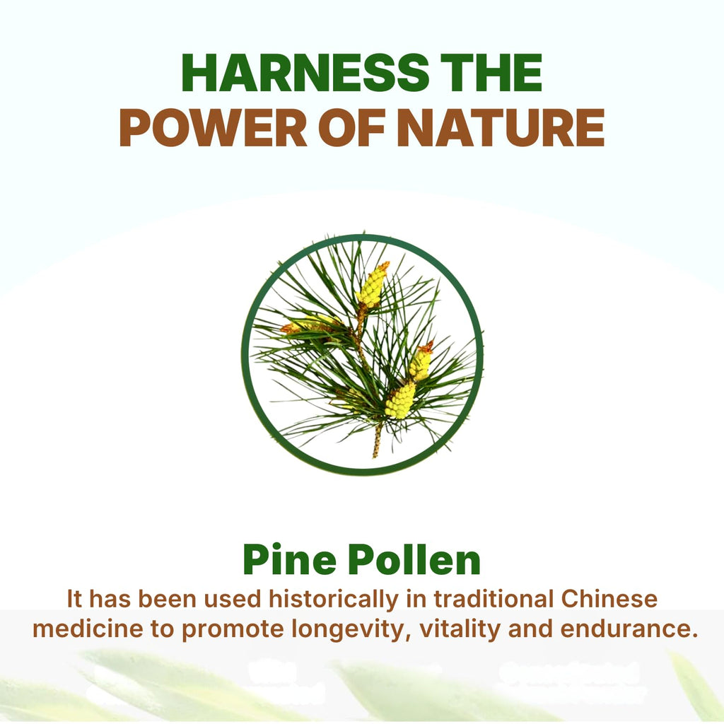 Go Nutra Pine Pollen Powder | Wild Harvested & Broken Cell Wall | Pure 10:1 Pine Pollen Extract, Antioxidant-Rich & Androgenic | Supports Health, Energy | Vegan, Non-GMO, Gluten Free | 16 Ounce (1lb)