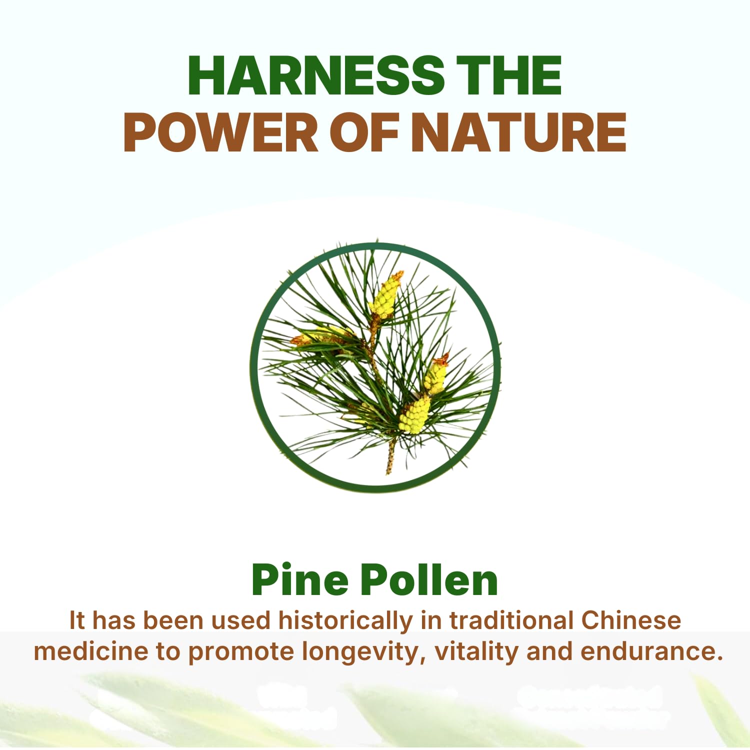 Go Nutra Pine Pollen Powder | Wild Harvested & Broken Cell Wall | Pure 10:1 Pine Pollen Extract, Antioxidant-Rich & Androgenic | Supports Health, Energy | Vegan, Non-GMO, Gluten Free | 16 Ounce (1lb)