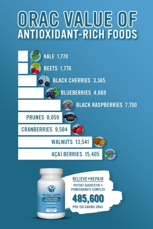 Alkaline for Life Relieve+Repair Quercetin Complex – 1000 mg Quercetin + Pomegranate + OPC + Magnesium + Turmeric, Multi-Antioxidant Plant Formula, Non-GMO, Gluten-Free, 90 Servings, Made in USA