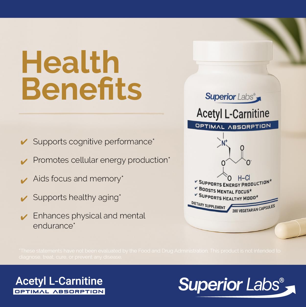 Superior Labs Acetyl L-Carnitine 500 mg, High Potency ALCAR, Pure Non-GMO, Zero Synthetic Additives, Maximum Absorption, Energy & Fat Metabolism, Brain, Nerve & Cellular Detox Support, (200 Veg Caps)