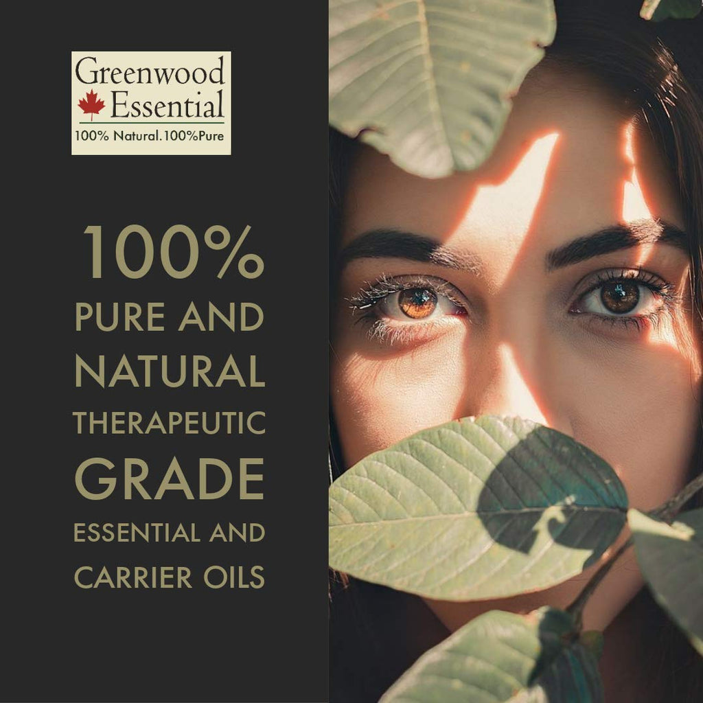 Greenwood Essential Pure Liquorice (Licorice) Oil (Glycyrrhiza glabra) with Glass Dropper 30ml (1 oz)
