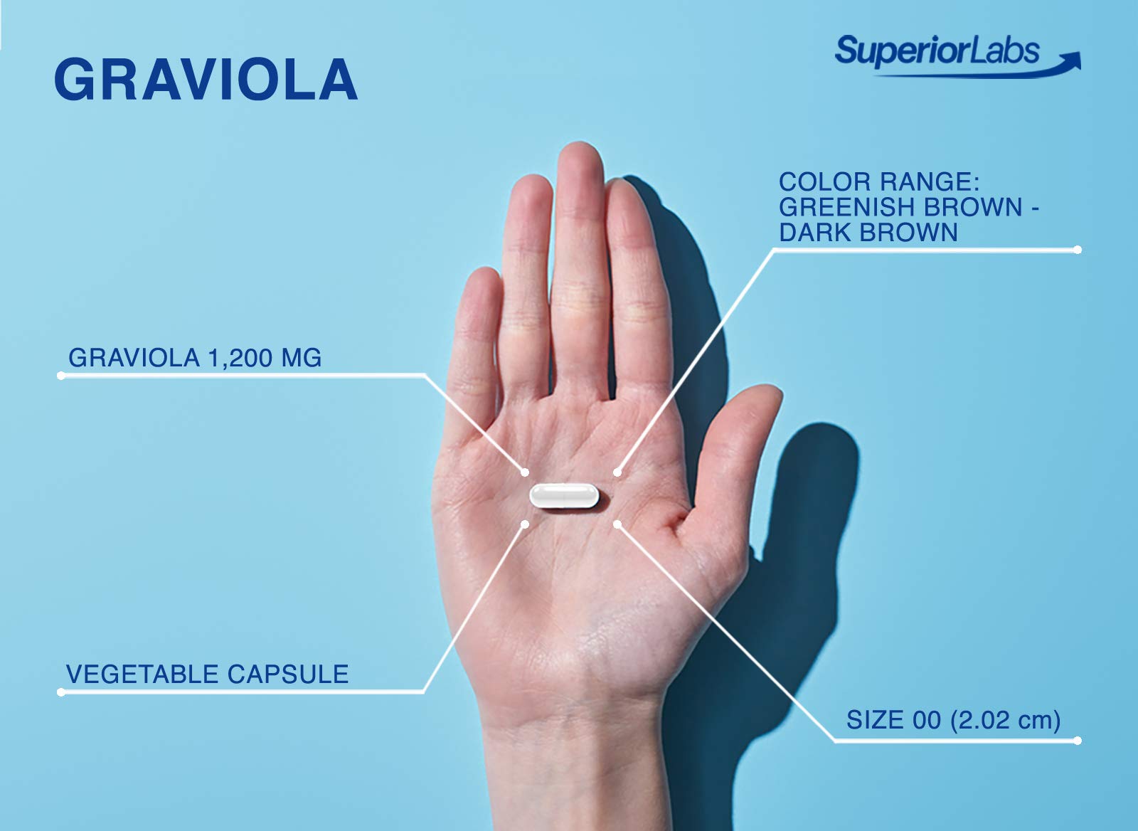 Superior Labs Graviola 1200mg, Pure Natural Non-GMO Herbal Antioxidant, Immune & Respiratory Support, Promotes Healthy Skin, Cell Growth & Balanced Mood, High-Potency Extract, 120 Veg Capsules