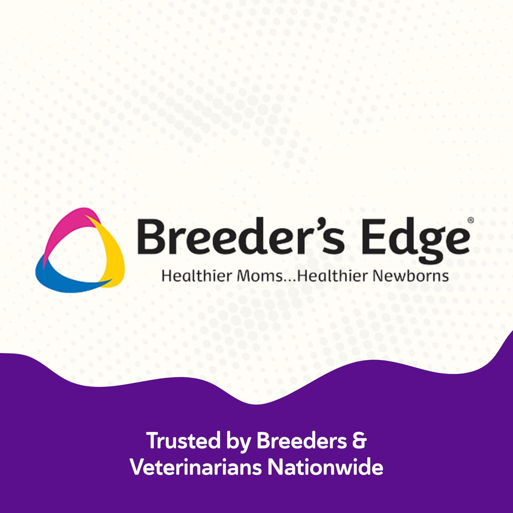 Breeder’s Edge B Strong Powder, B-Complex Vitamin Supplement for Dogs and Cats, Supports Reproductive Health, Promotes Normal Heat Cycles, and Helps Maintain Energy, 300g