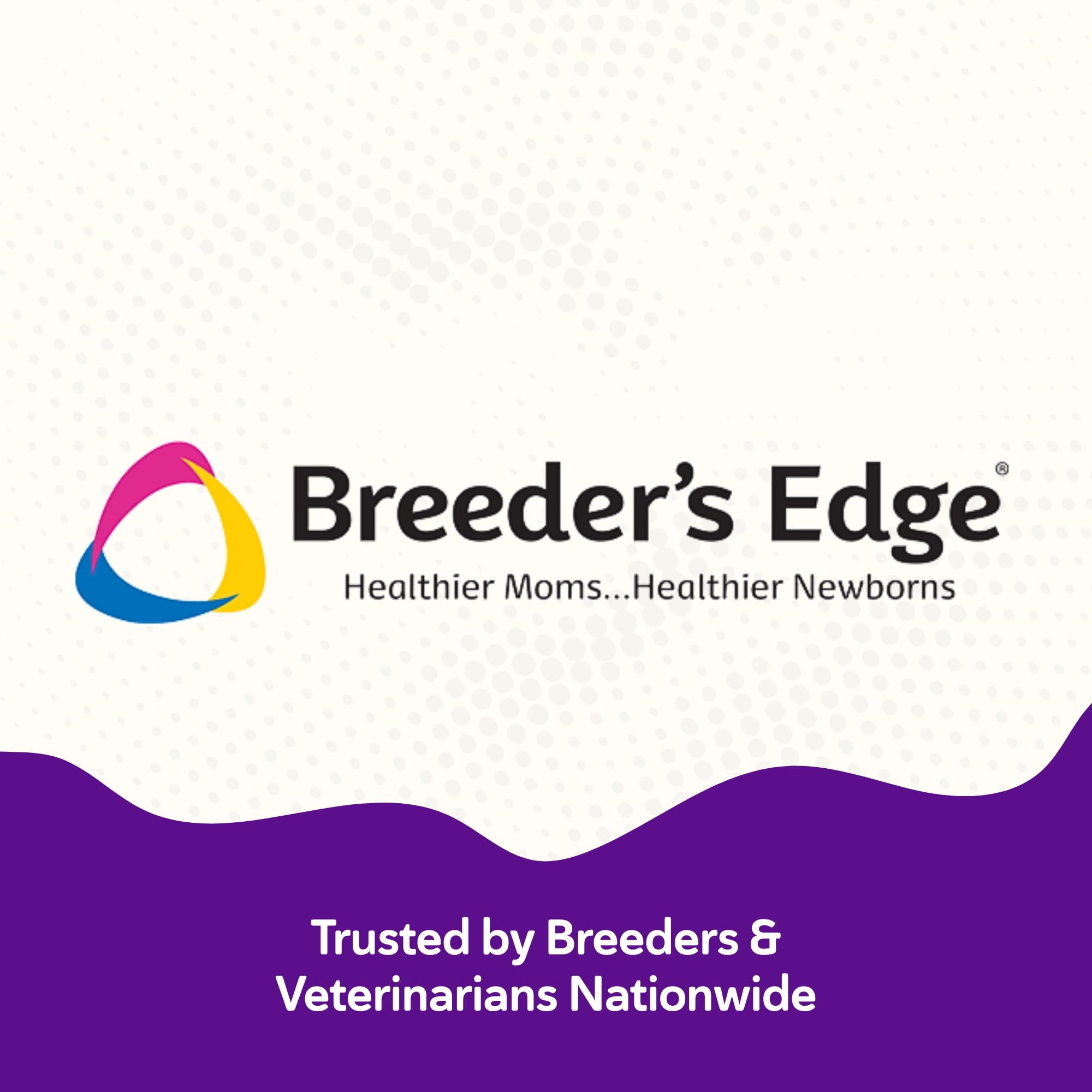 Breeder’s Edge B Strong Powder, B-Complex Vitamin Supplement for Dogs and Cats, Supports Reproductive Health, Promotes Normal Heat Cycles, and Helps Maintain Energy, 300g