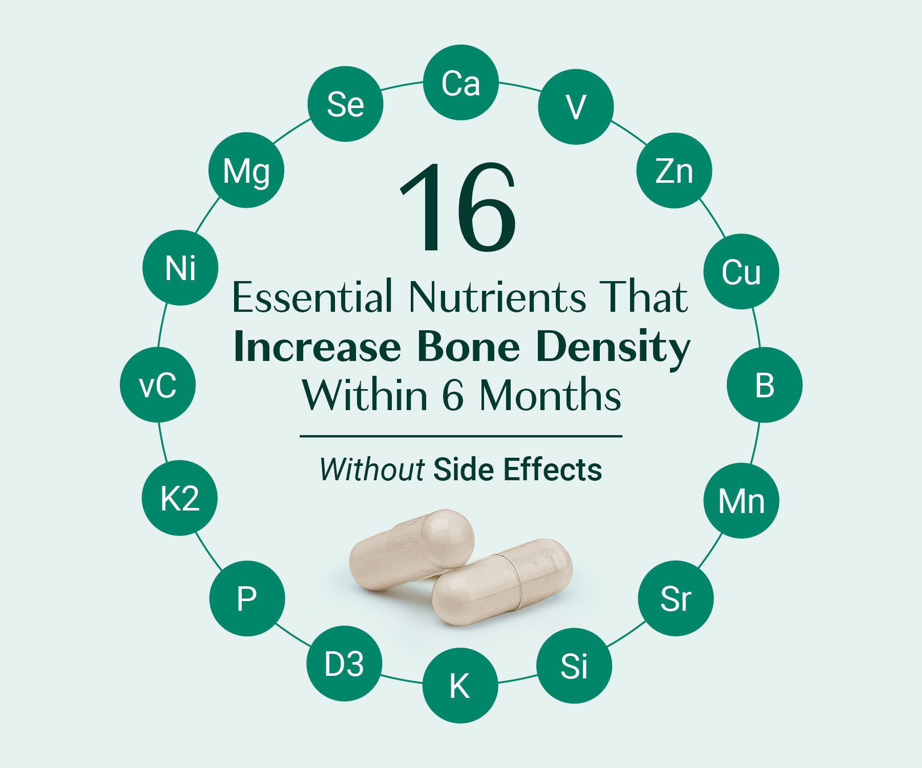 ALGAECAL Bone Builder Pack - Plant Based Calcium Supplement & Strontium - Organic Calcium 720mg with Vitamin D3 1600 IU, Vitamin K2, Magnesium, 16 Nutrients for Bone Health & Density (1-Month Supply)