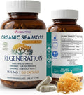VIVANUTRA Organic Wildcrafted Sea Moss Capsules, 1476mg, Nova Scotia, 120ct