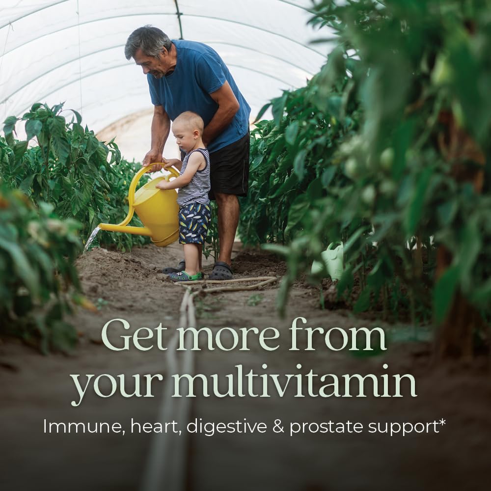 New Chapter One Daily Every Man's Multivitamin 55+ - Offers Eyesight, Immune System & Cellular Energy Support* - Contains Astaxanthin, Saw Palmetto & More - Gluten Free & Vegetarian - 96 Tablets