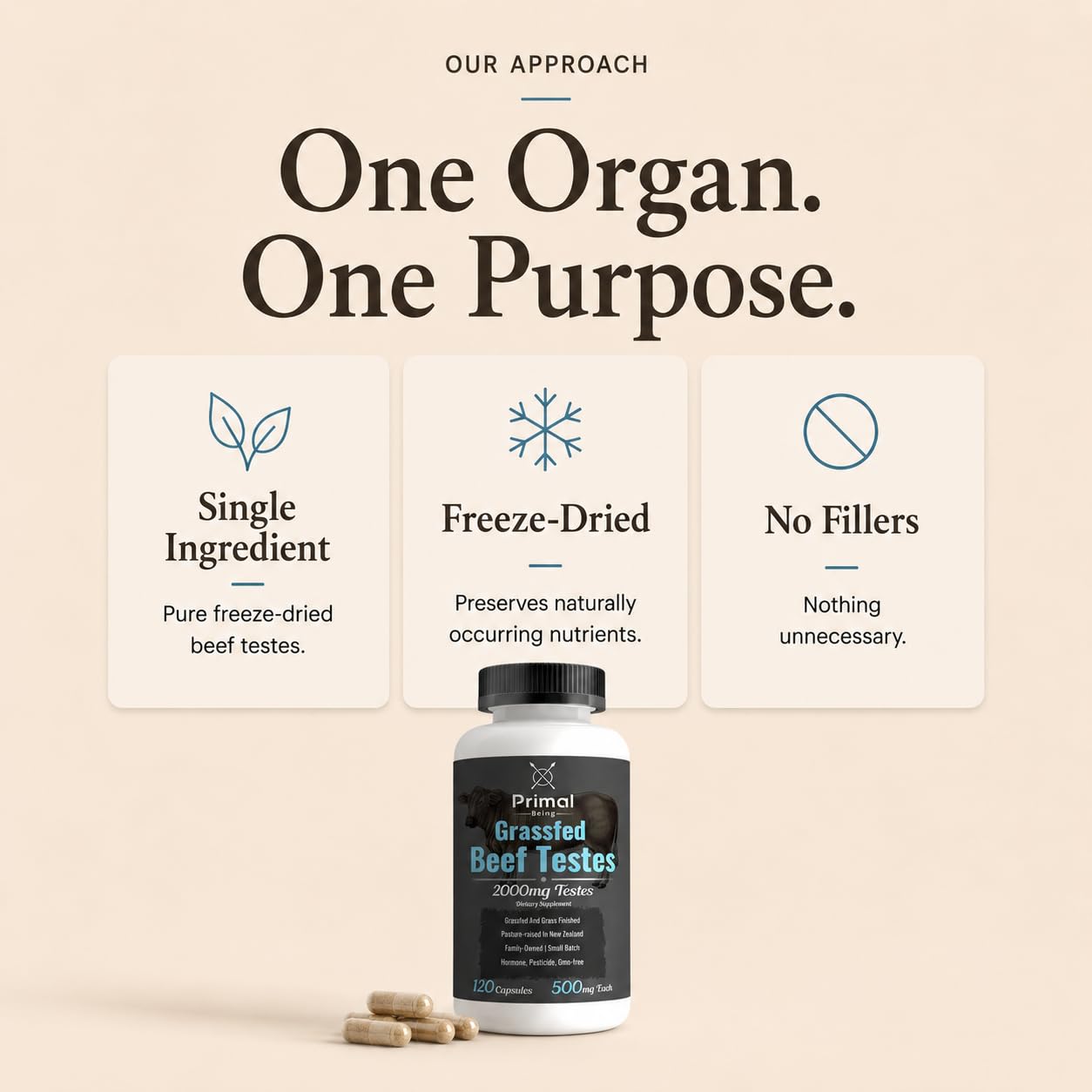 Primal Being Grassfed Beef Testes Capsules – Nutrient-Dense Beef Organ Supplement for Men, New Zealand Sourced, 120 Capsules