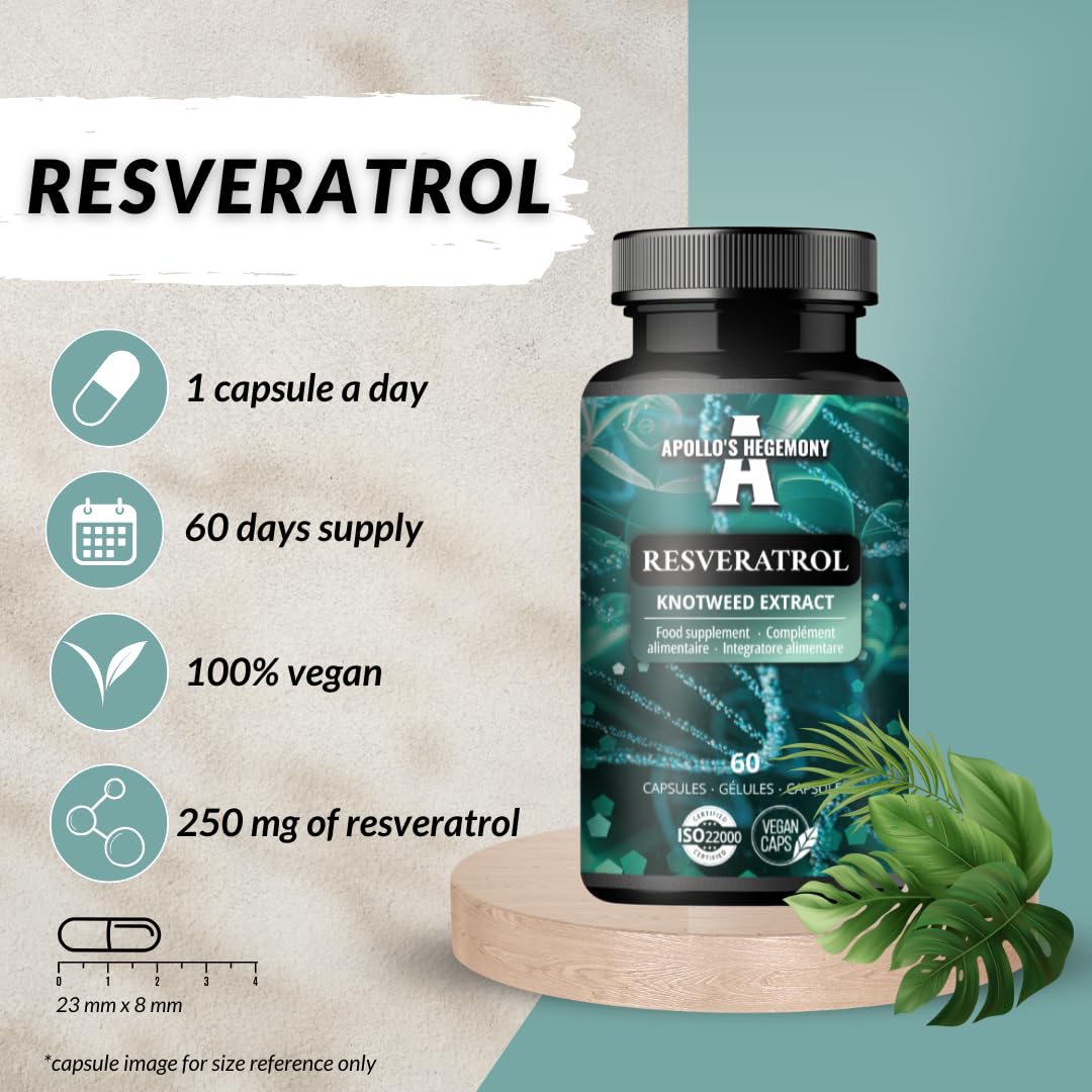 APOLLO'S HEGEMONY Resveratrol High Dose 400 mg - 60 Vegan Capsules - 2 Months Supply - 98% Trans-Resveratrol from Japanese Knotweed Extract - Natural Antioxidant