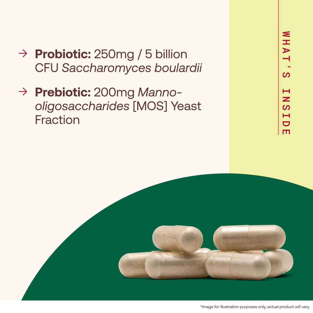 Jarrow Formulas Saccharomyces Boulardii + MOS Probiotics for Digestive Health and Intestinal Tract Support - 5 Billion CFU Per Serving - 180 Delayed Release Caps - Probiotic + Prebiotic - 180 Servings