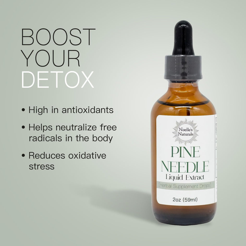 Noelle's Naturals Pine Needle Extract Tincture - Wildcrafted Eastern White Pine Needles, Organic, High Shikimic Acid, Vitamin C & Antioxidants - Immune Support Drops, 2 fl oz