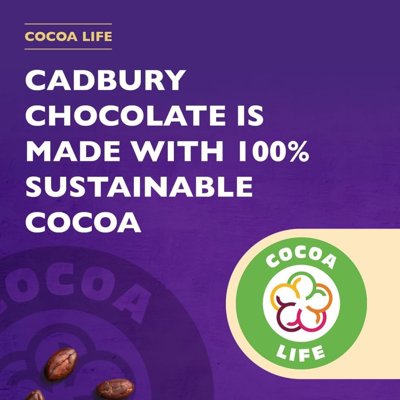 Cadbury Drinking Hot Chocolate, 250 g