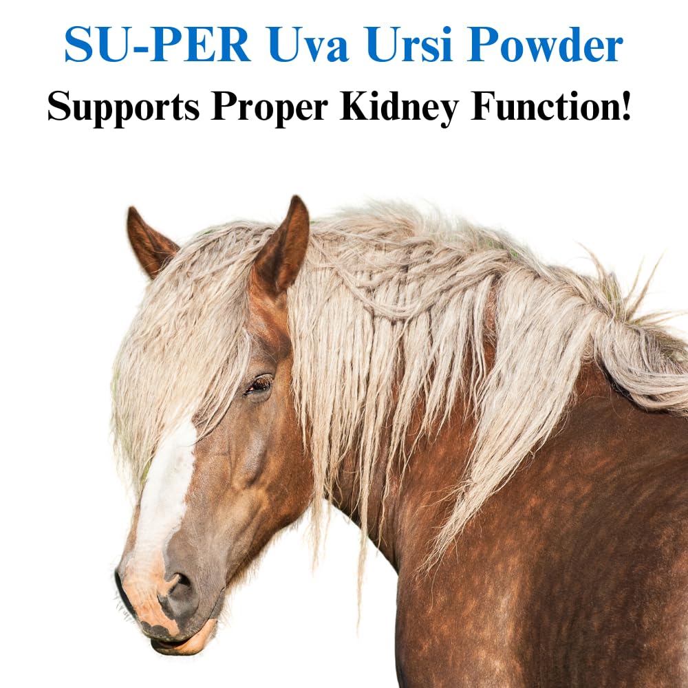 SU-PER Uva Ursi Supplement for Horses - Supports Proper and Active Kidney Function & Healthy Urinary Tract - 4 Pound