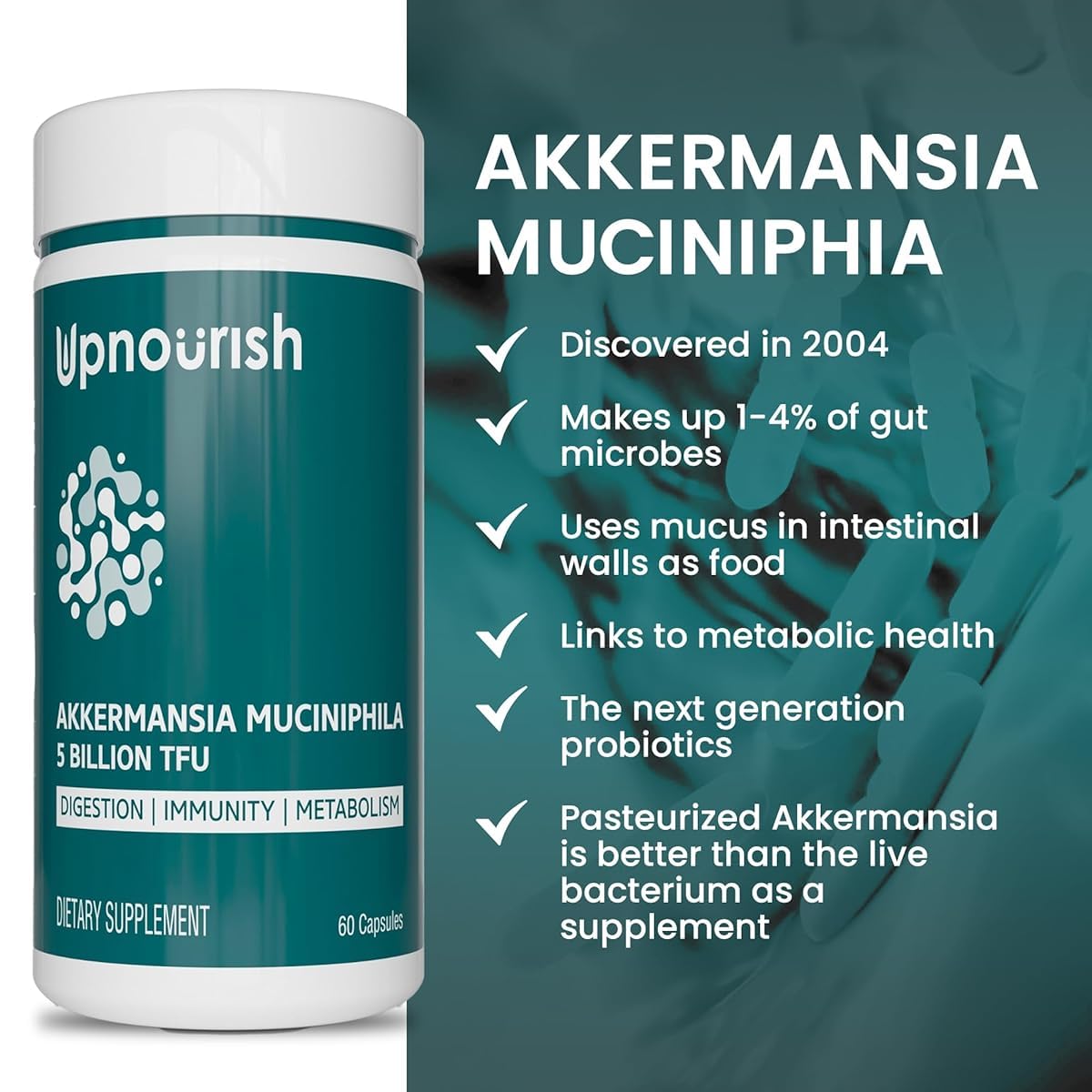 UpNourish Probiotics for GLP-1 Support, 5 Billion TFU Akkermansia Muciniphila for Digestive Health, Leaky Gut, Immunity and Metabolic Health, Prebiotics and Probiotics for Women and Men, 60 Capsules