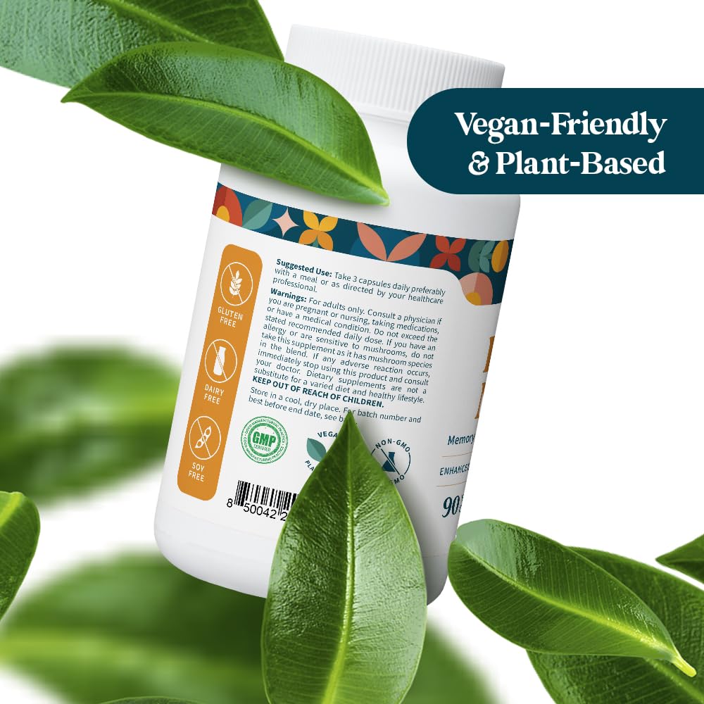 Pattern Wellness Lion’s Mane Mushroom Supplement – 90 Vegan Capsules