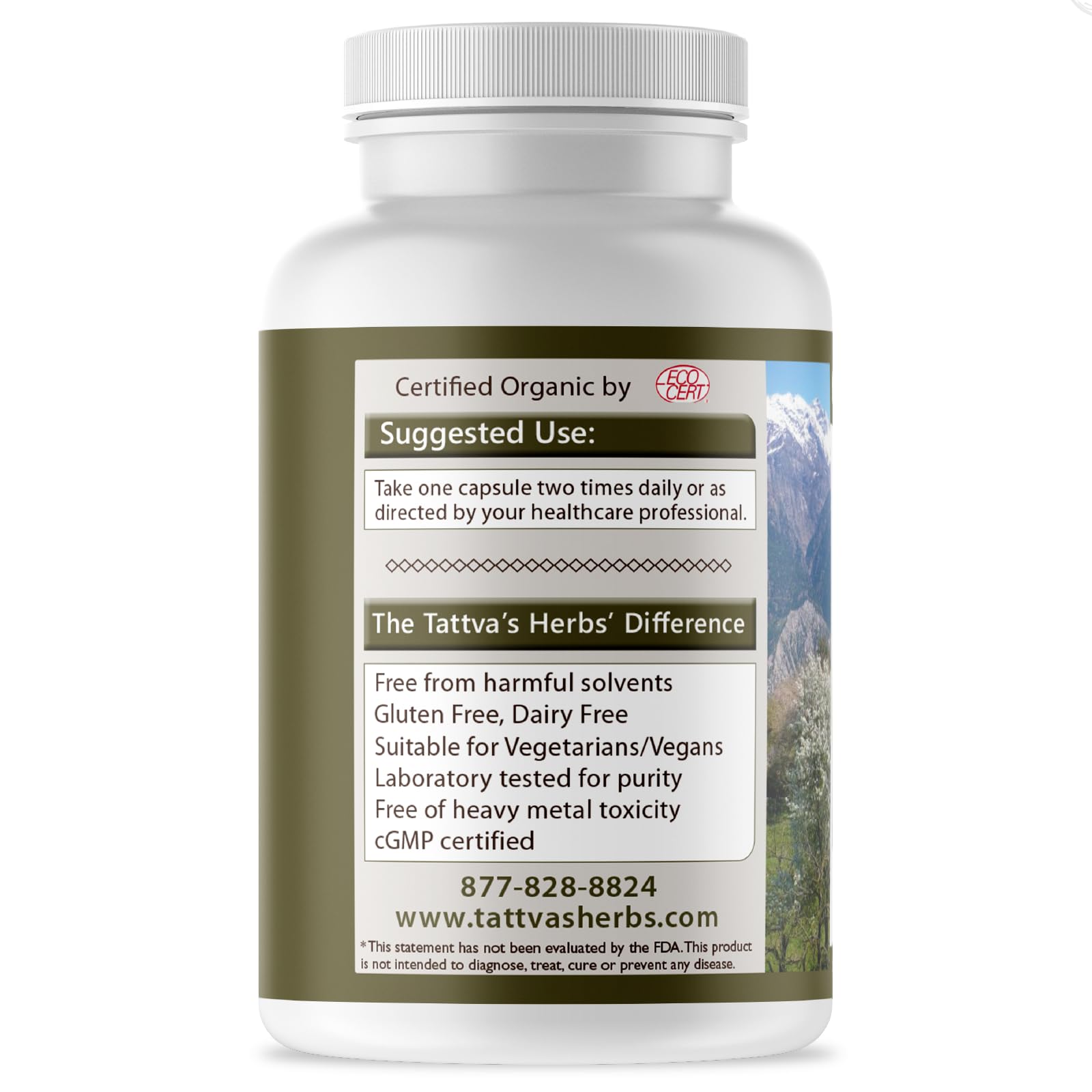Tattva's Herbs Turmeric Curcumin 2-Pack (240 Capsules Total, 500mg) | Premium Supercritical CO2 Extract with Black Peppe