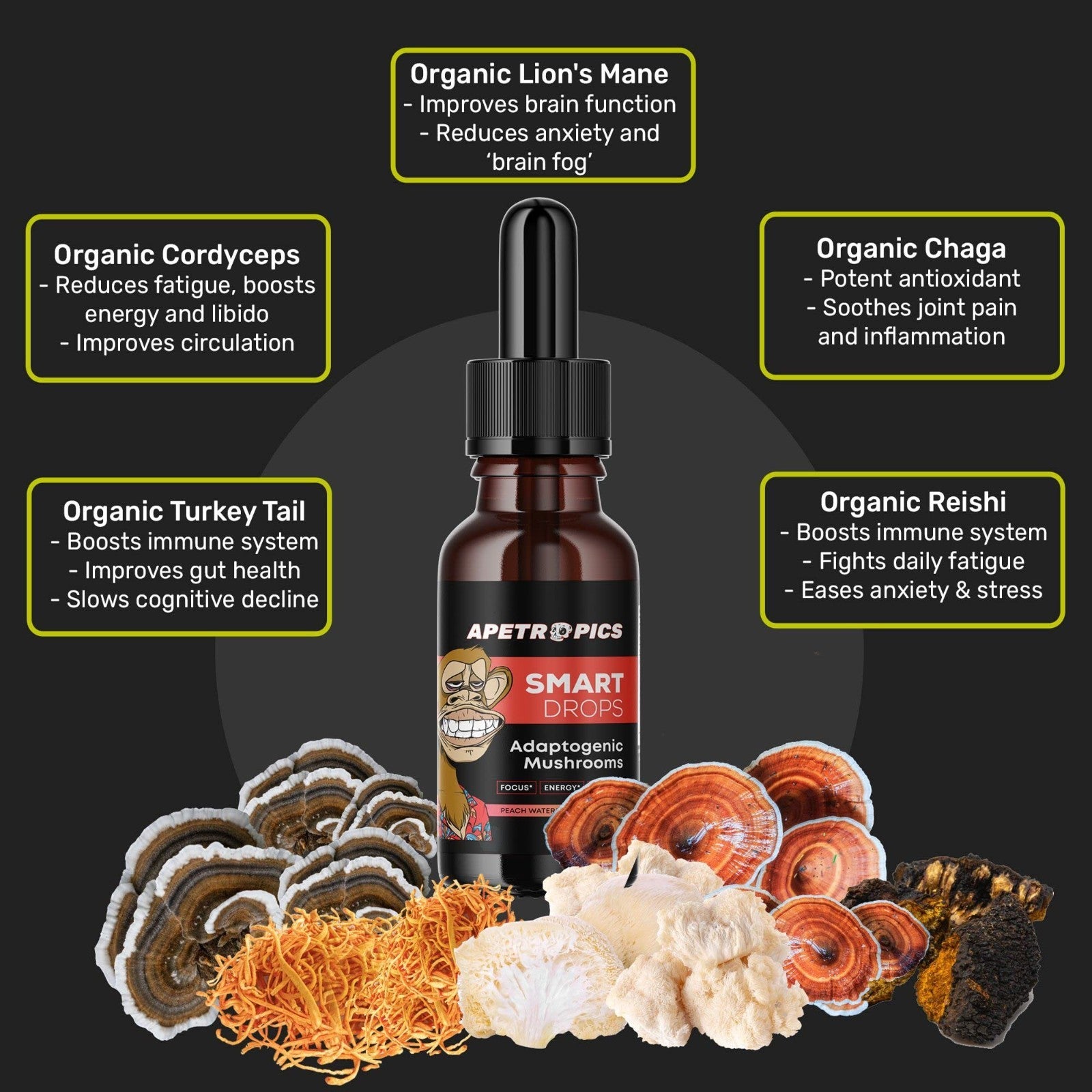 3 Pack of Apetropics Smart Drops - 5-In-One Adaptogenic Mushroom Tincture