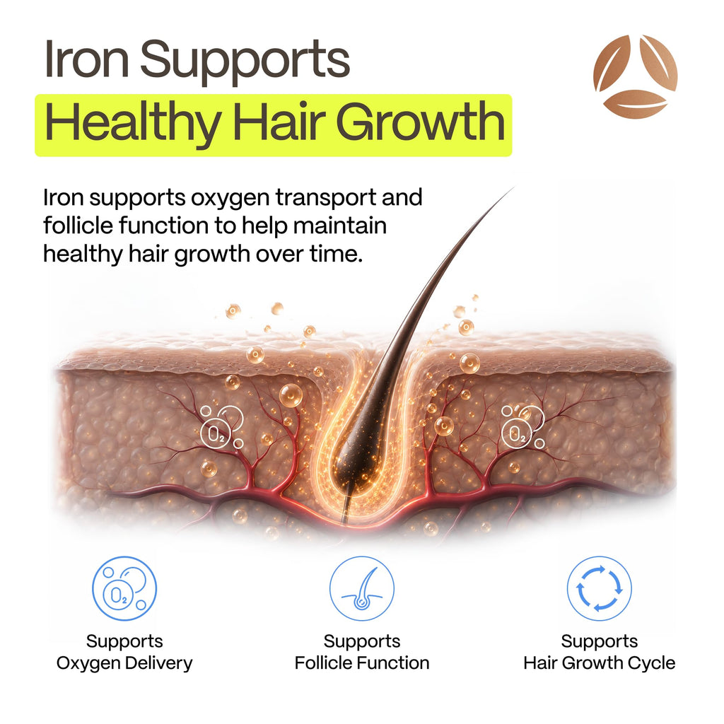 DermaIRON Iron Supplement for Women & Men – Gentle Iron for Low Ferritin & Anemia Support, Hair Thinning & Hair Loss Support, with Collagen & Vitamin C