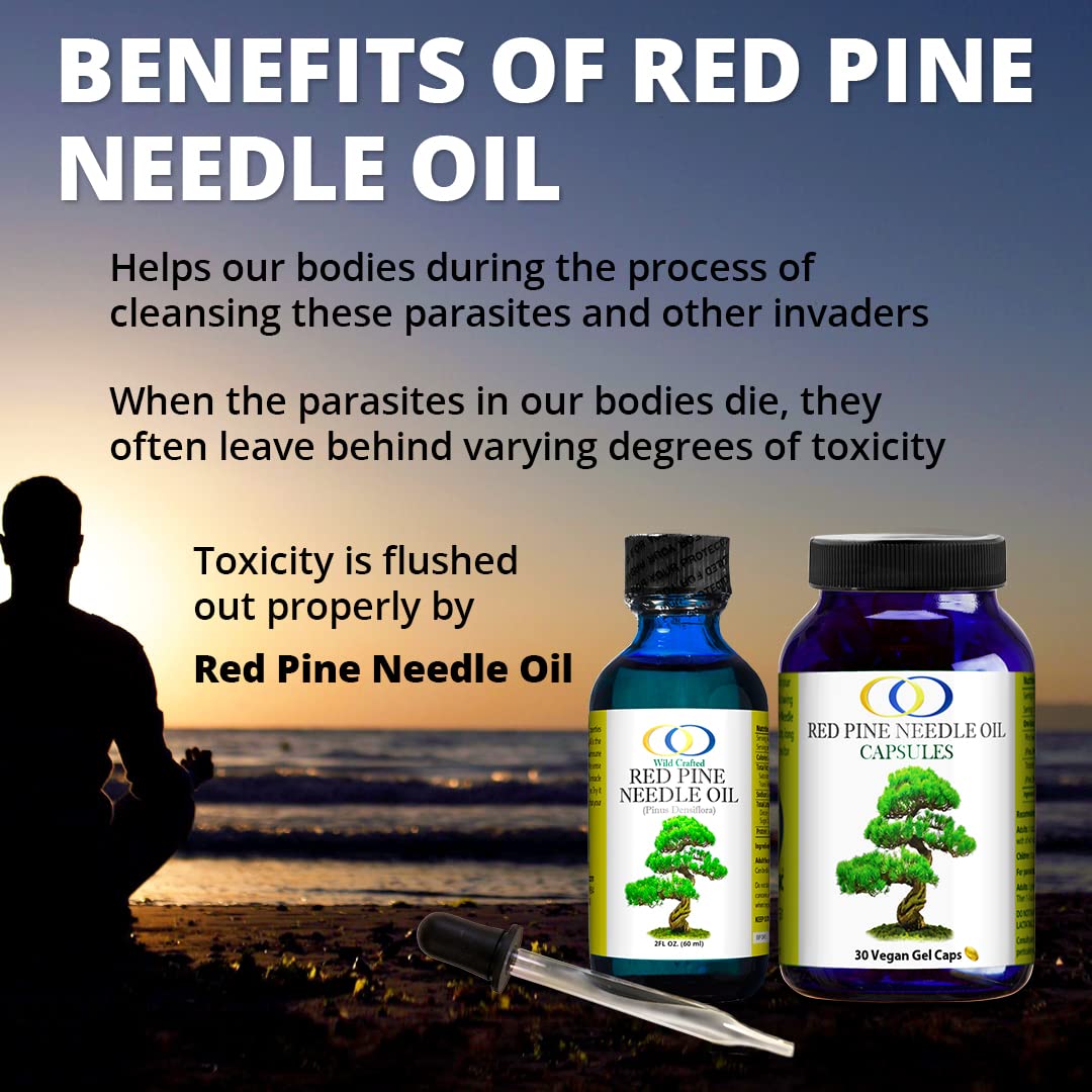 Optimally Organic Red Pine Needle Oil 2oz - Spike-Off- Daily Drops for Extreme Immune Support - BioActive Cell & DNA Support - 1290 Drops - 3 to 7 Drops Per Dose -Vegan Body Cleanse - Longevity Oil