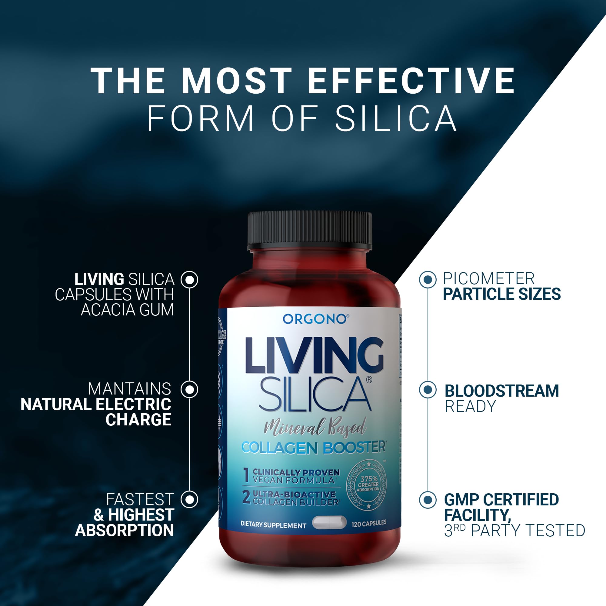 Living Silica ORGONO Mineral-Based Collagen Booster Capsules | Silica-Based | Supports Collagen & Elastin for Joint & Bone Support, Glowing Skin, Strong Hair & Nails | 120 Capsules