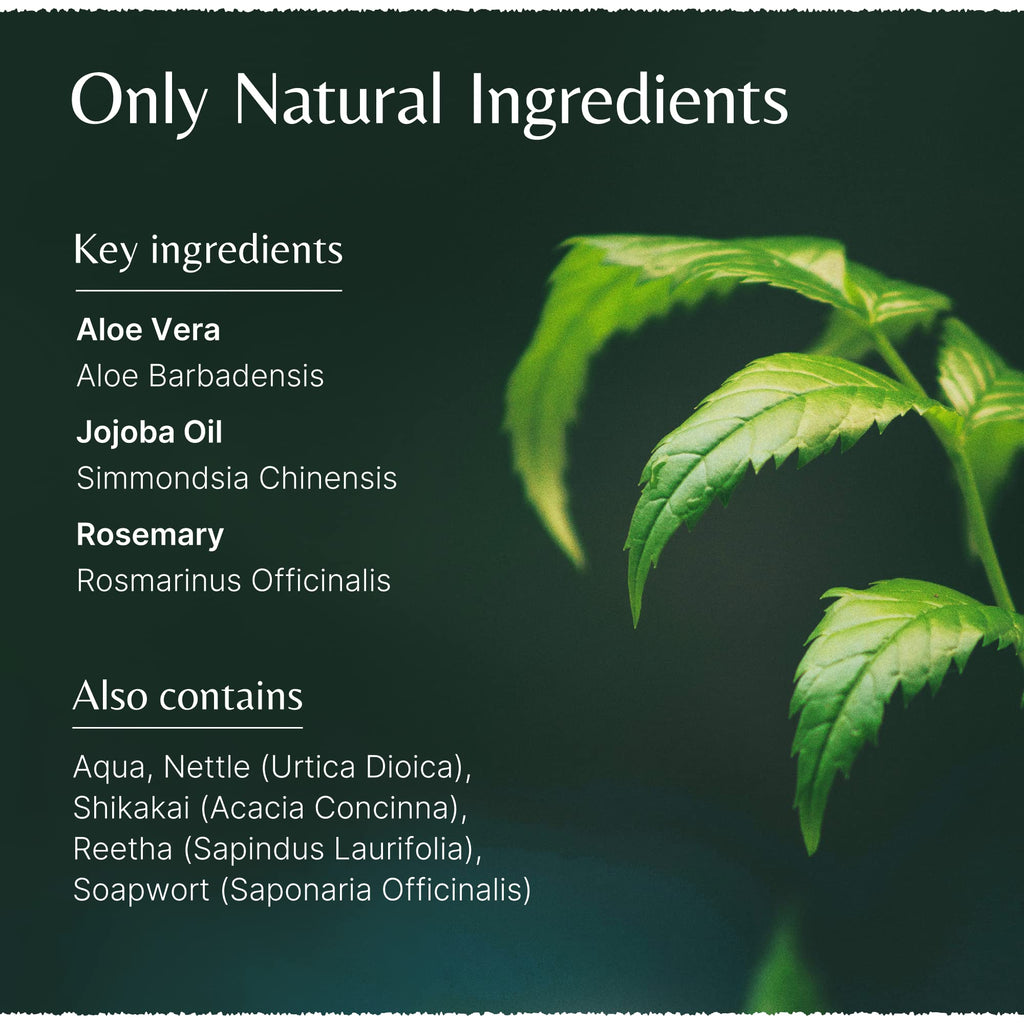 Mistrys Organic Naturally Aloe Vera Jojoba Shampoo with Rosemary 200ml by Aloe Vera Jojoba shampoo