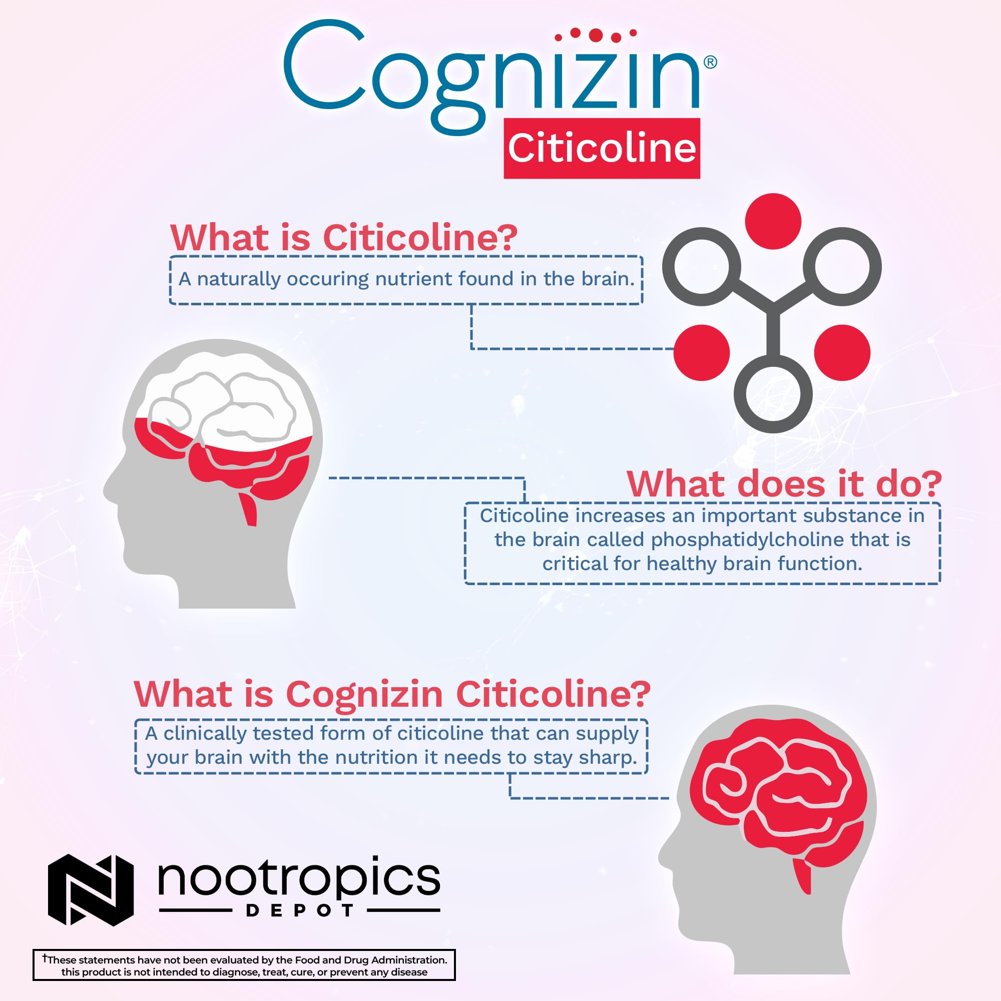 Nootropics Depot Cognizin Citicoline Capsules | 60 Count | Choline Supplement | Brain Health Supplement | Regulates Memory and Cognitive Function | Supports Attention, Focus and Recall