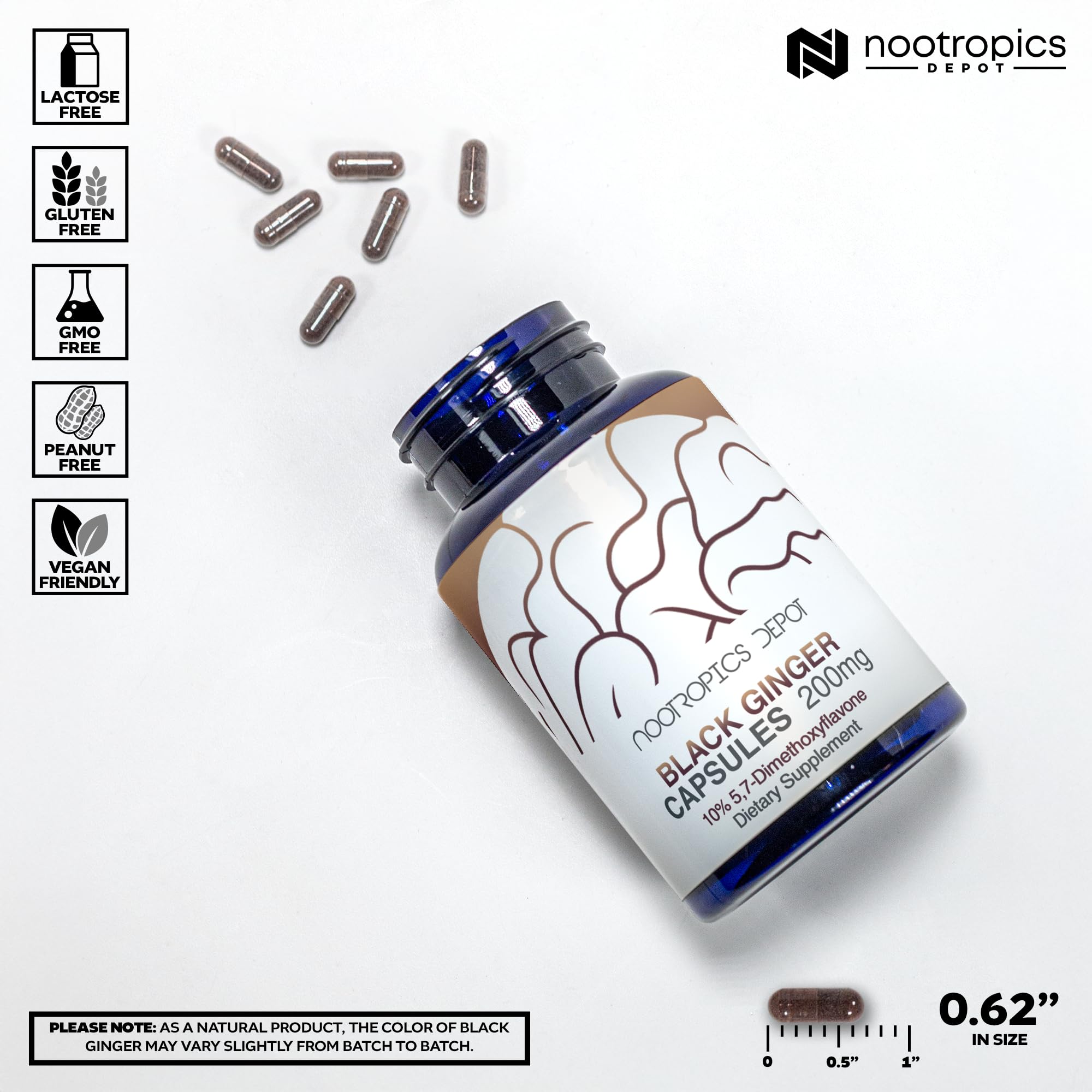 Nootropics Depot Black Ginger Extract Capsules | 10% 5,7-dimethoxyflavone | 180 Count